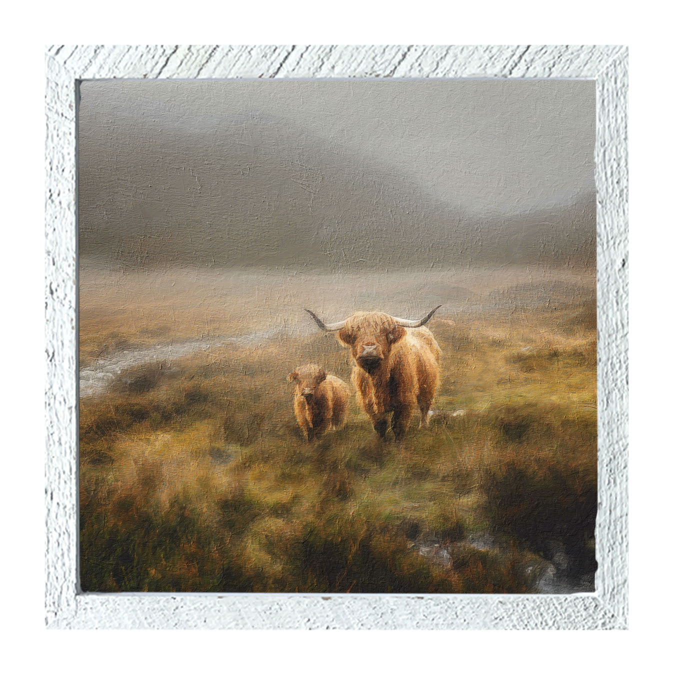 Highland Cows in field - Framed art