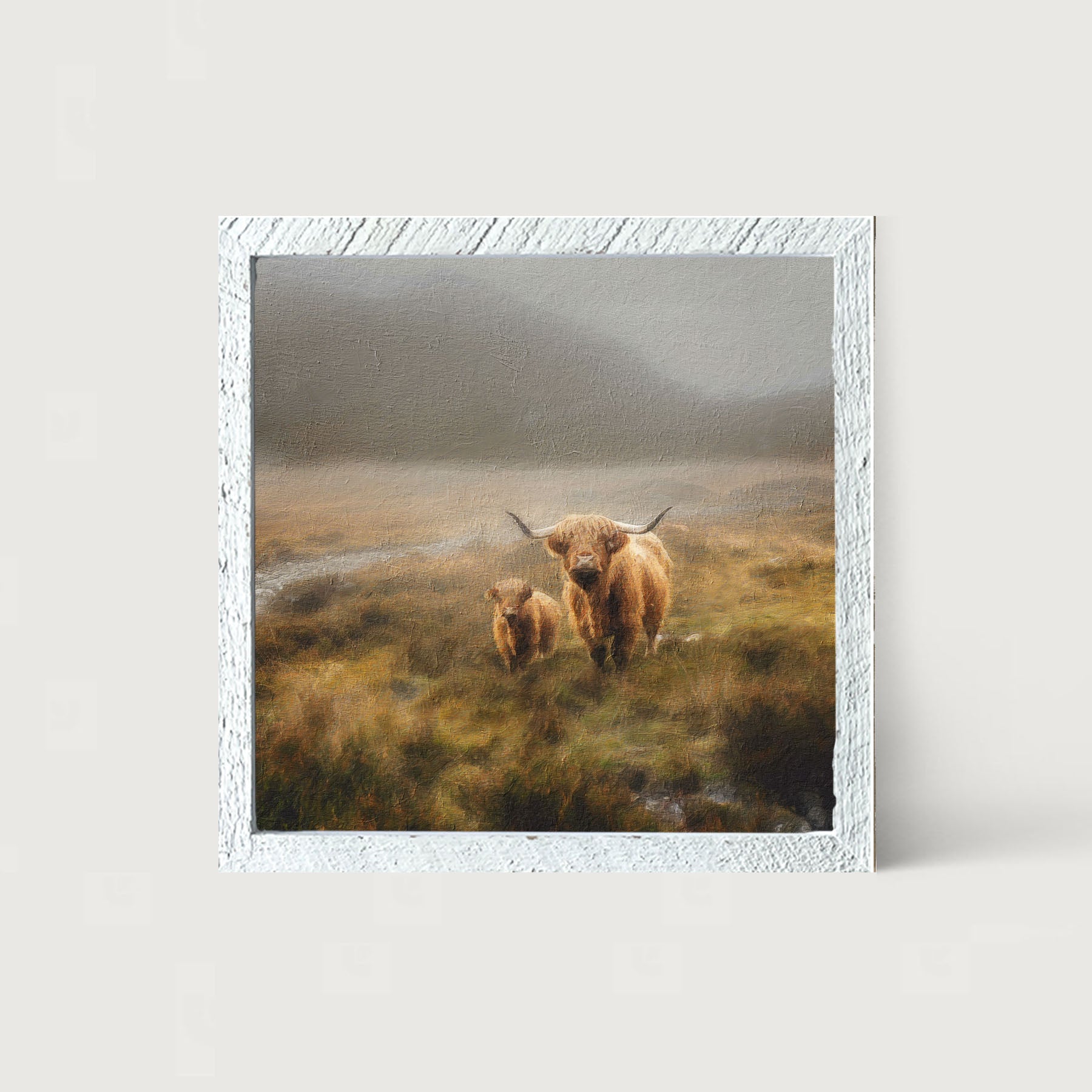 Highland Cows in field - Framed art