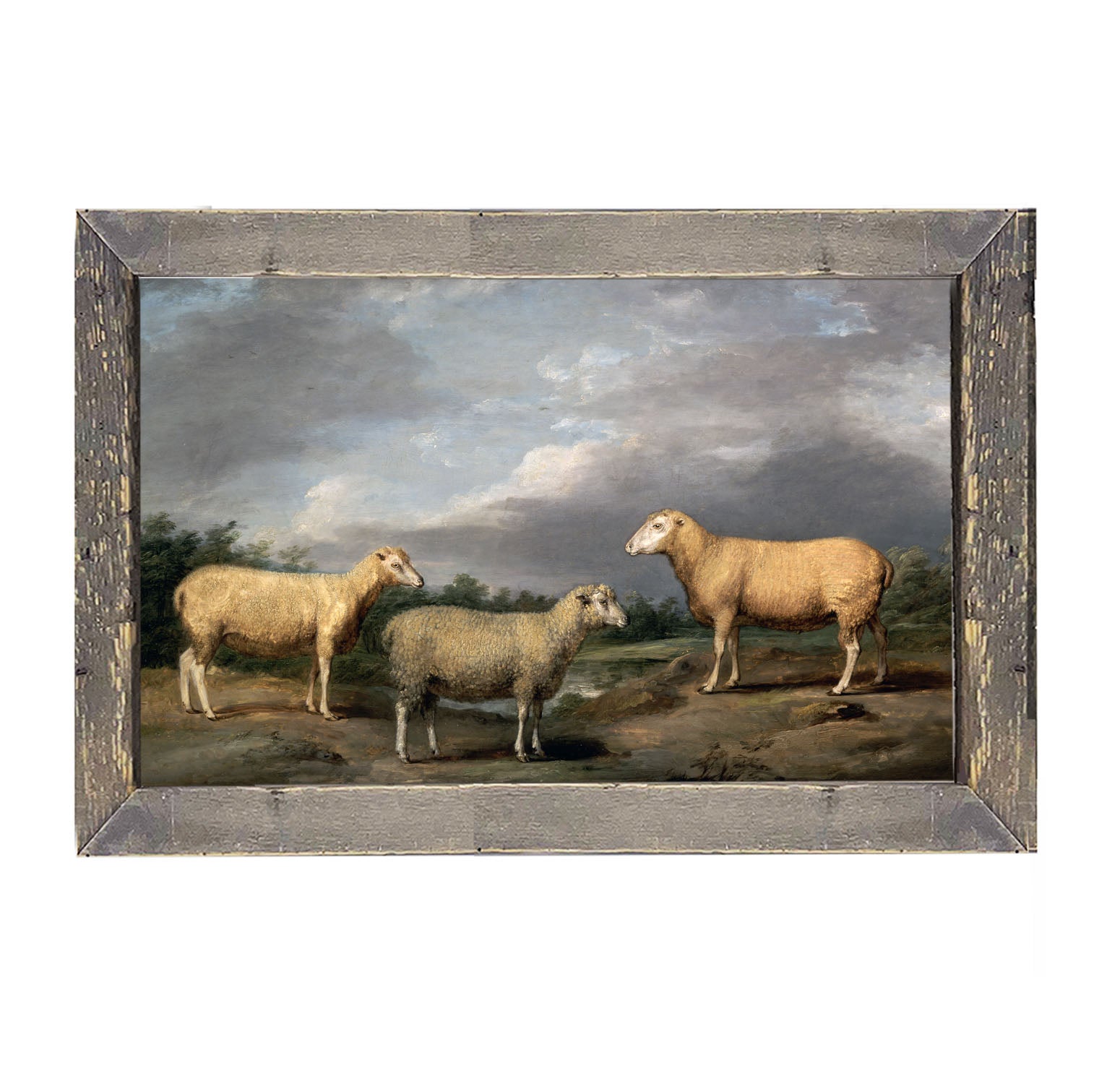 Vintage sheep