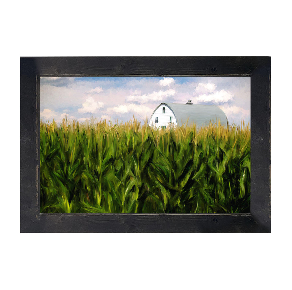 Corn Fields Barn