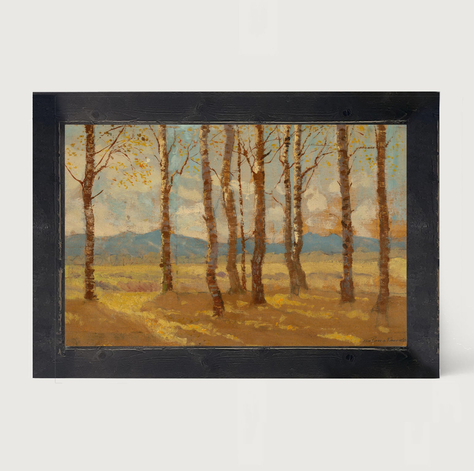 Autumn birch trees - Framed art