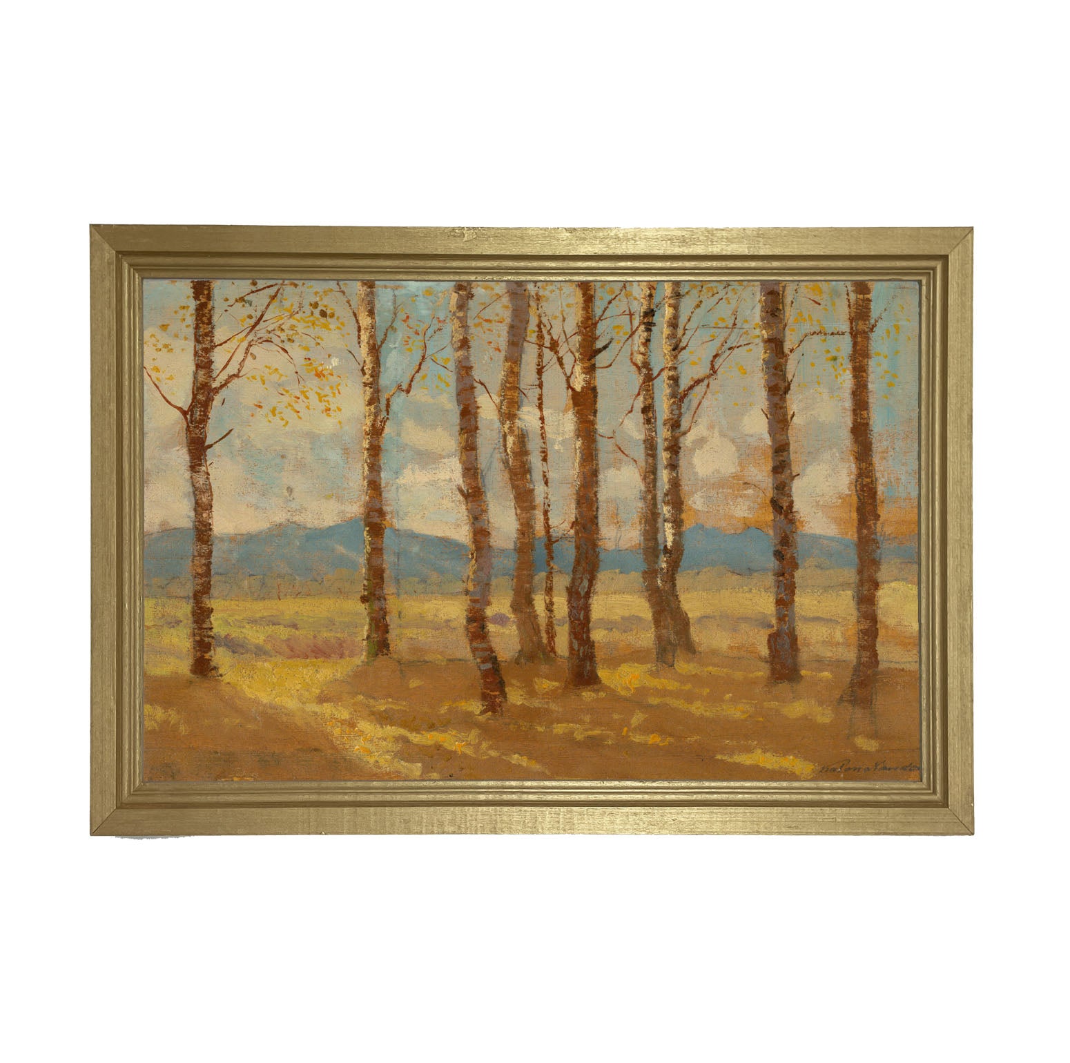 Autumn birch trees - Framed art