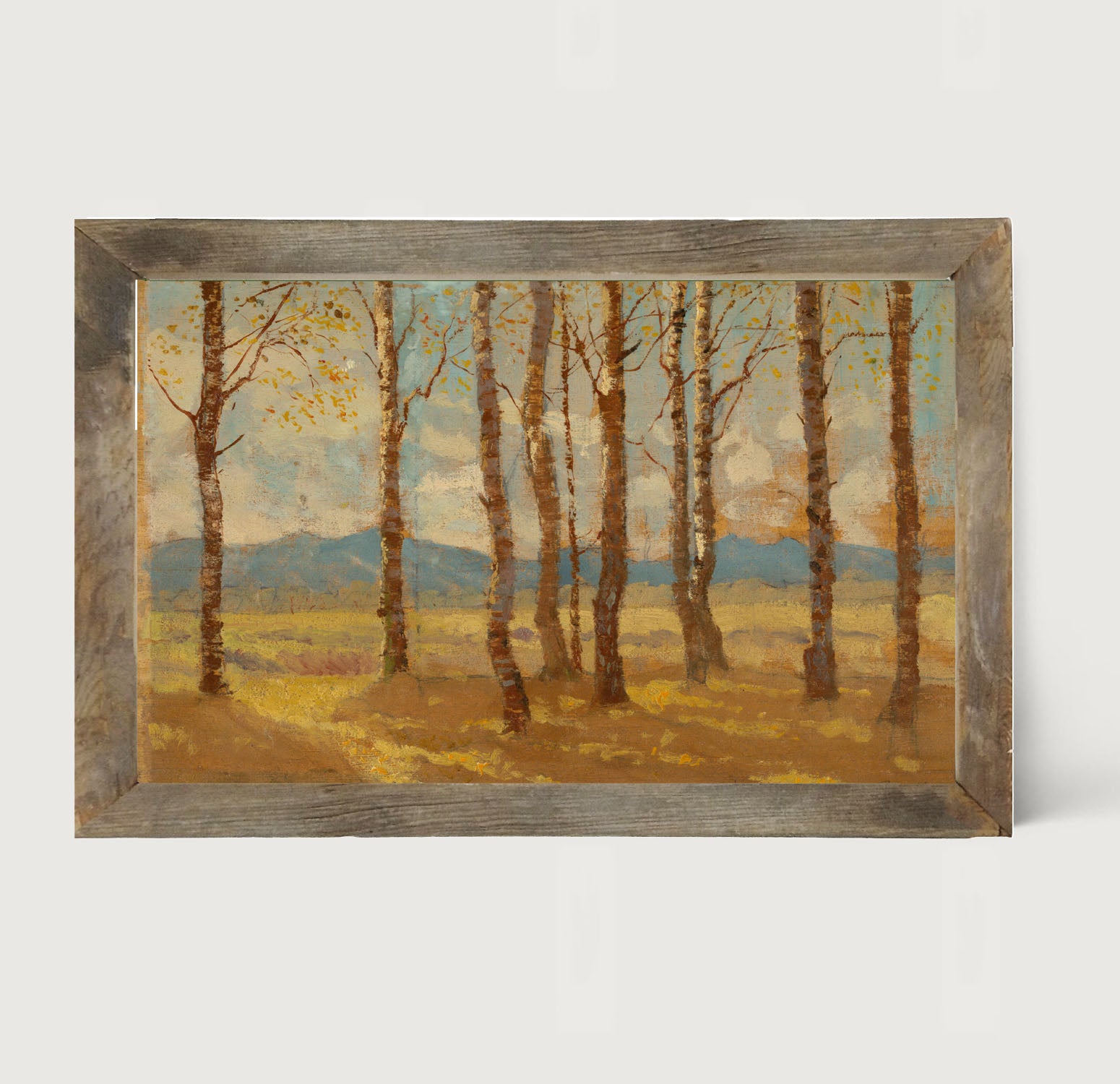 Autumn birch trees - Framed art