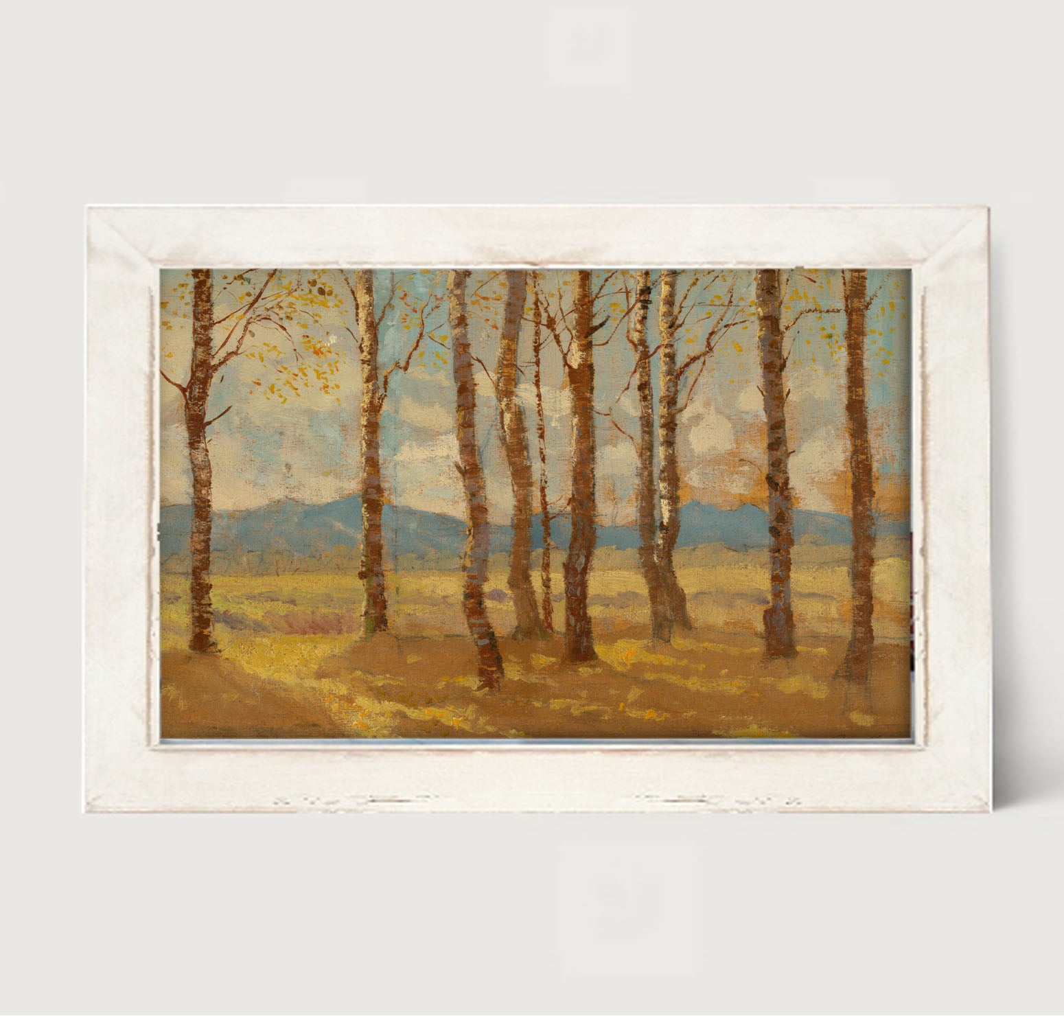 Autumn birch trees - Framed art