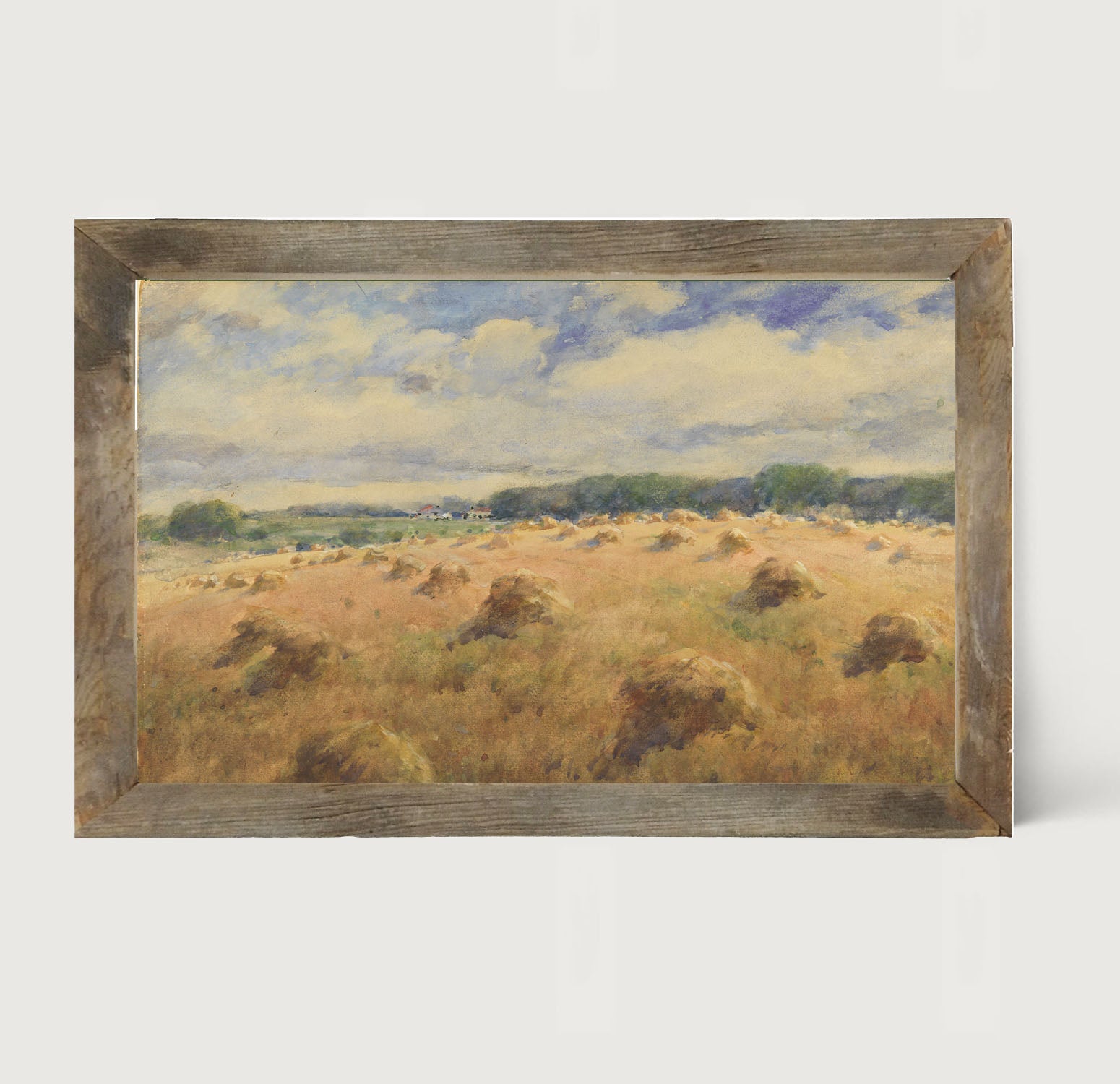 Hay fields - Framed art