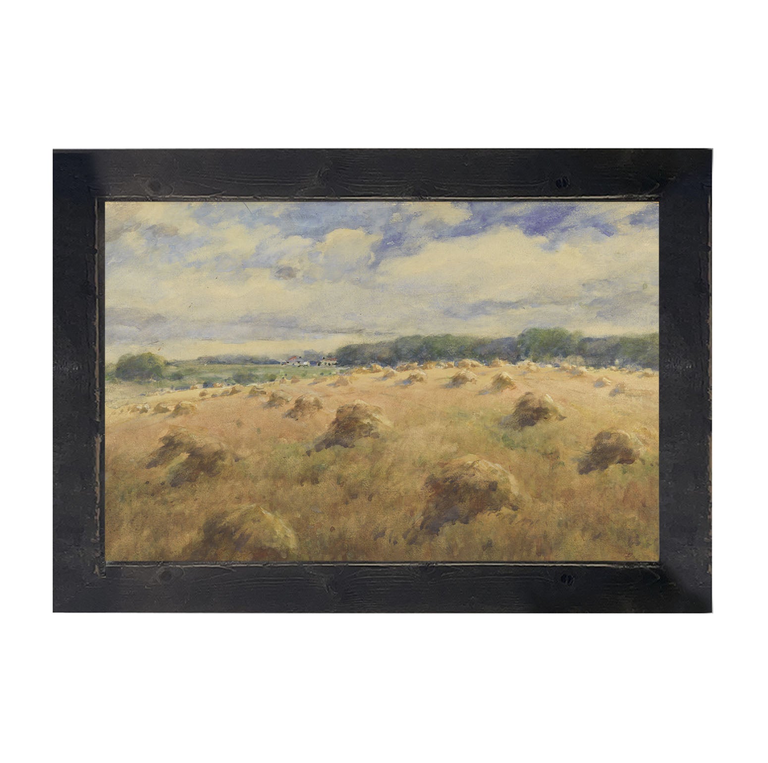 Hay fields - Framed art