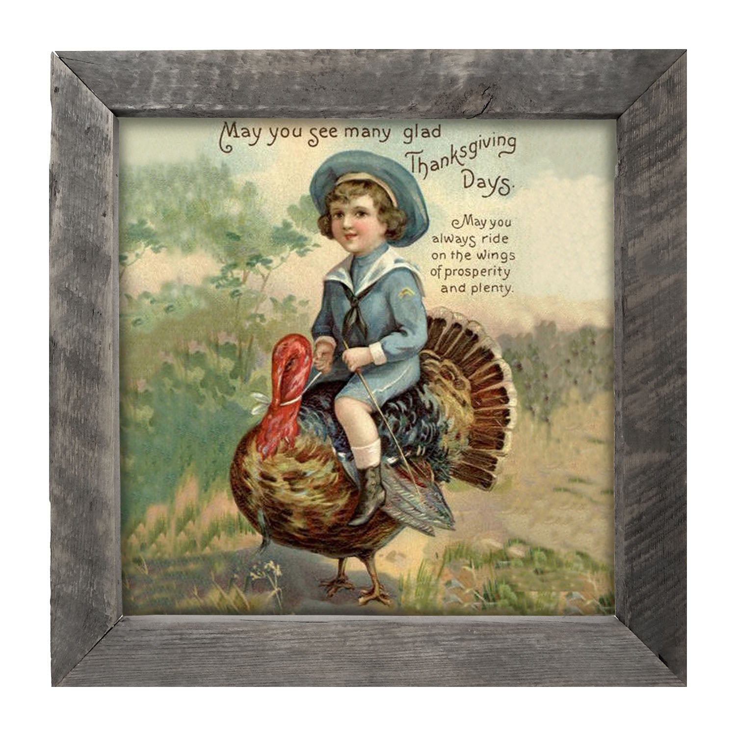 Boy Riding Turkey - Framed art