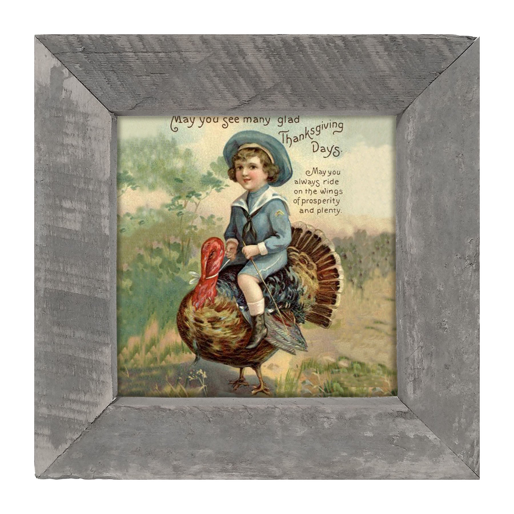 Boy Riding Turkey - Framed art