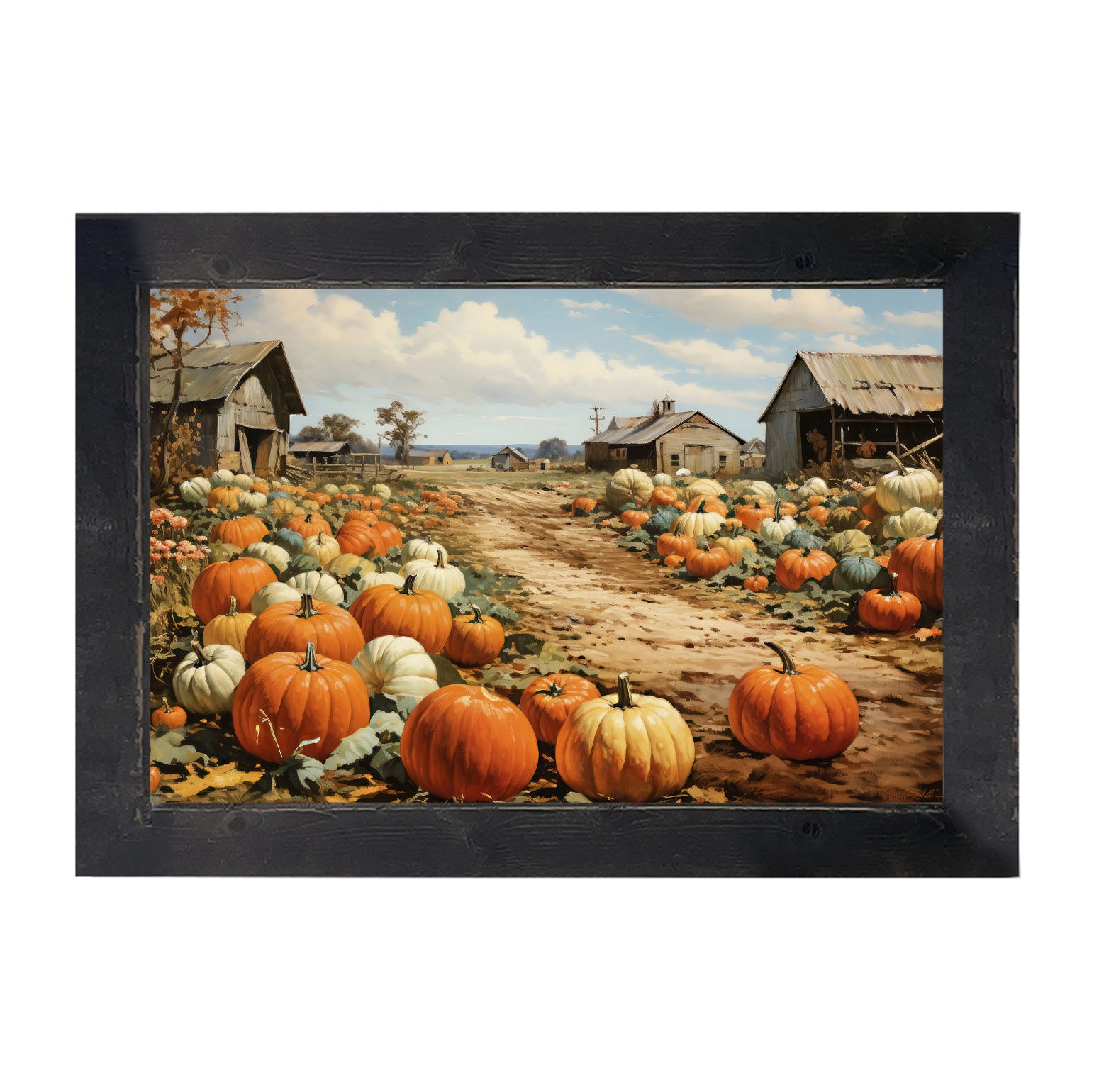 Field of Pumpkins - Framed art
