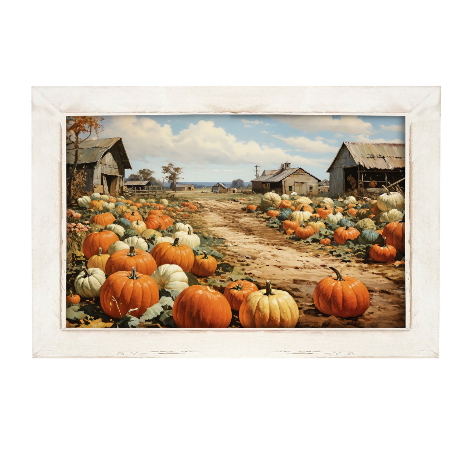 Field of Pumpkins
