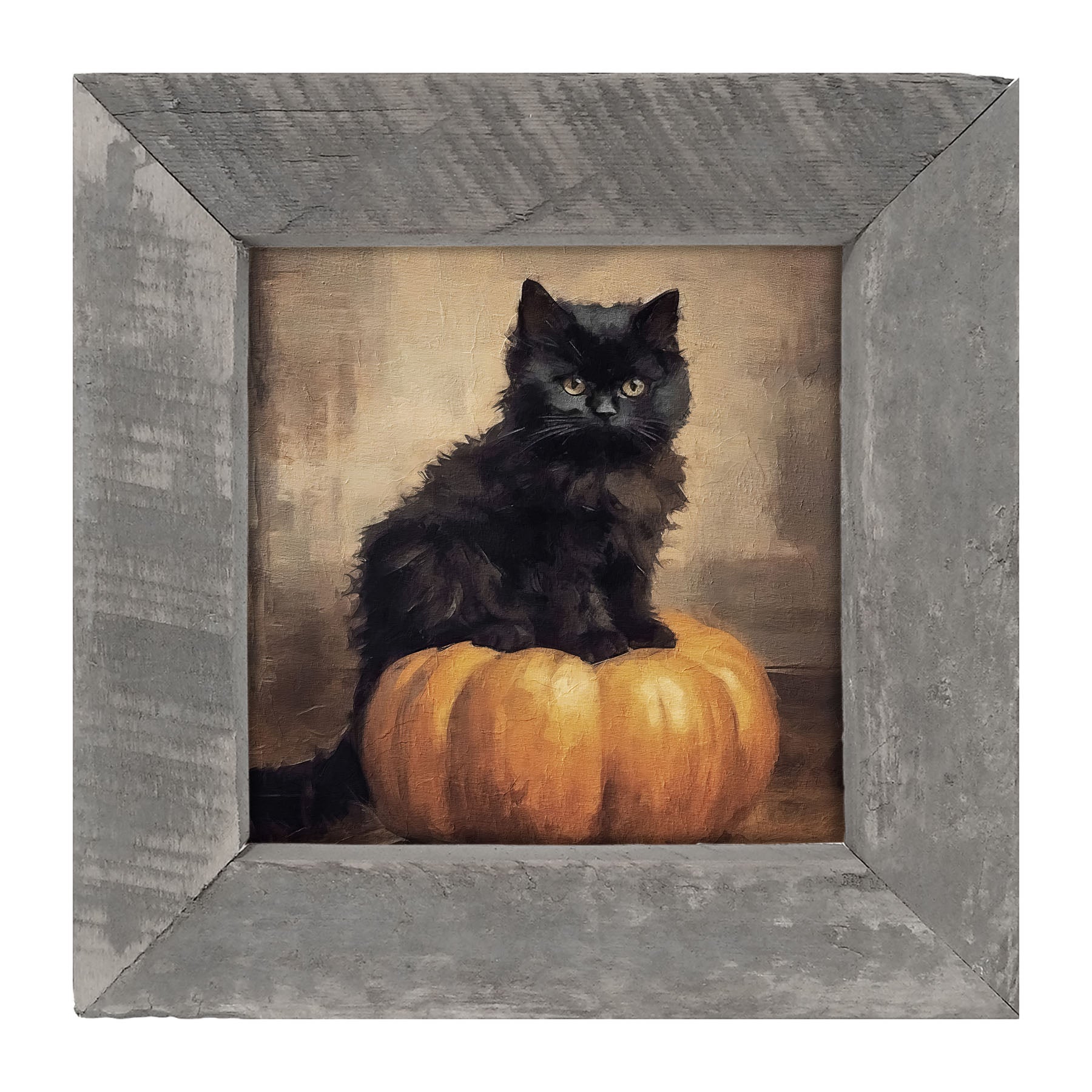 Cat on pumpkin - Framed art