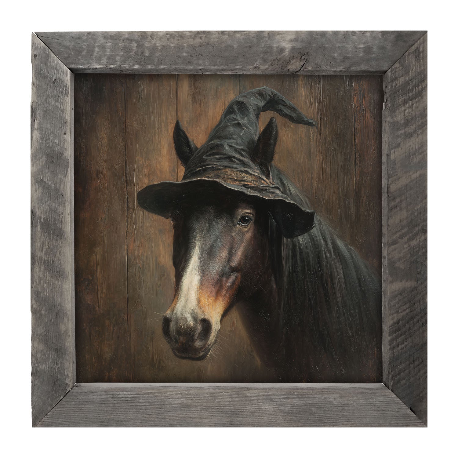 Witch Hat Horse - Framed Art