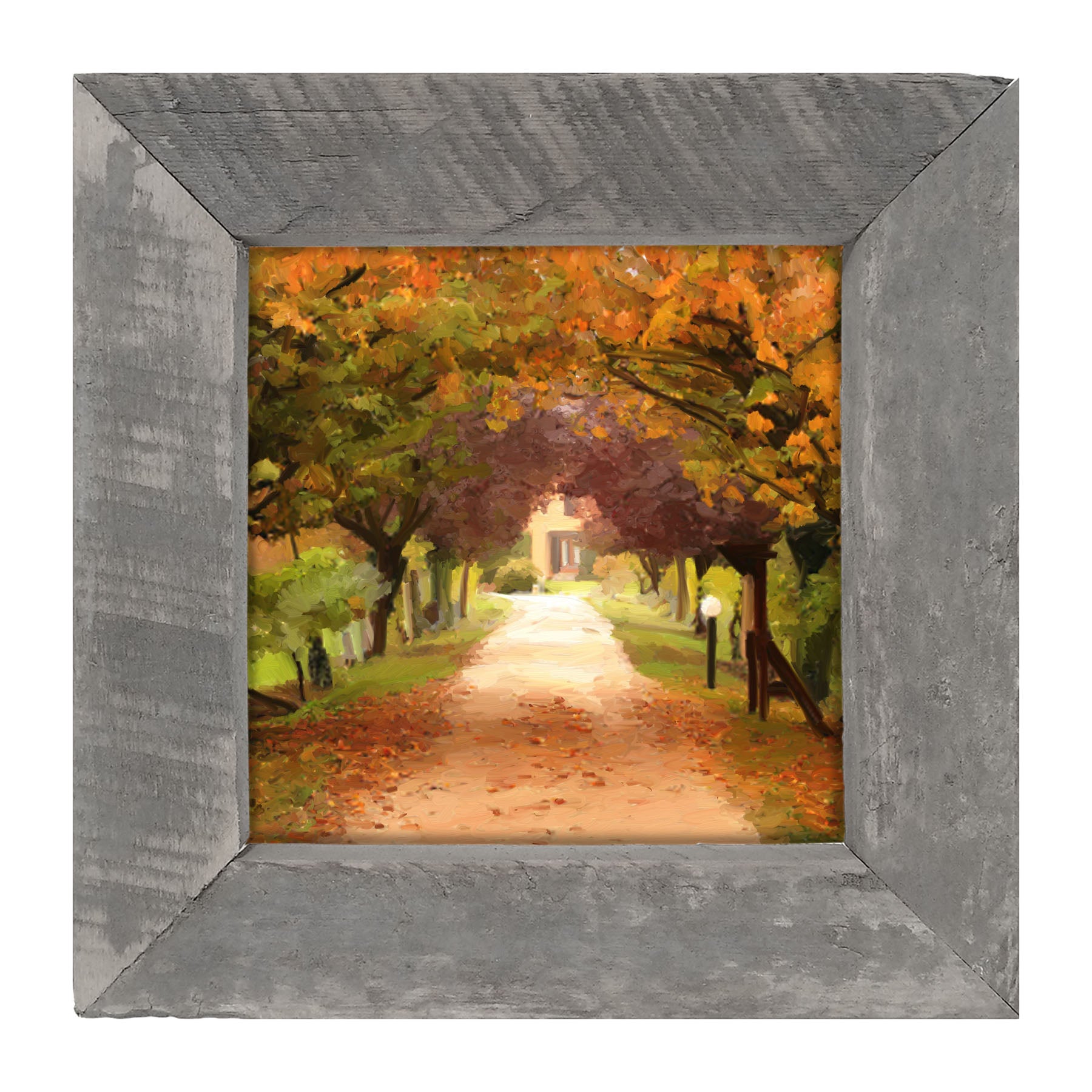 Leaves on sidewalk - Framed art