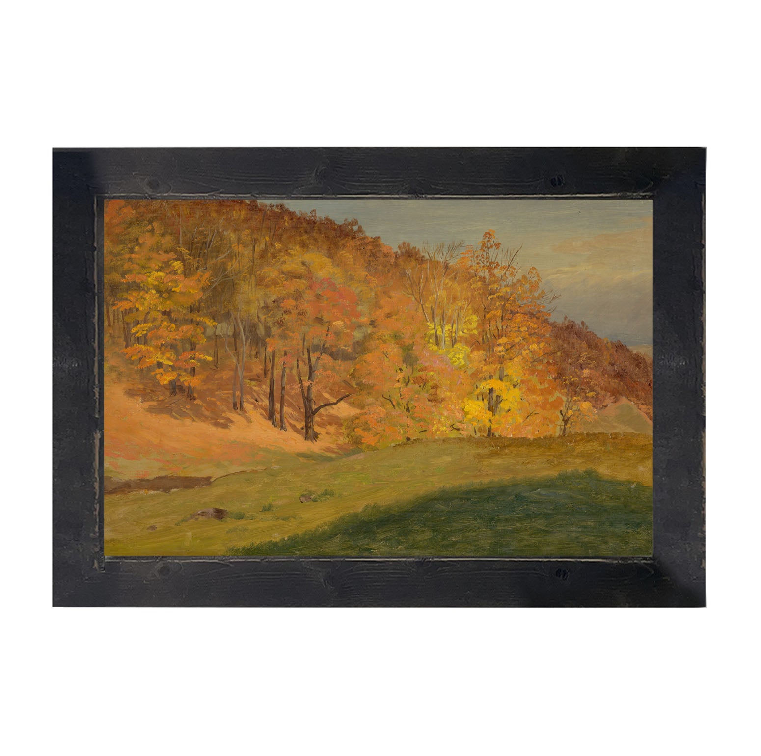 Autumn colors - Framed Art