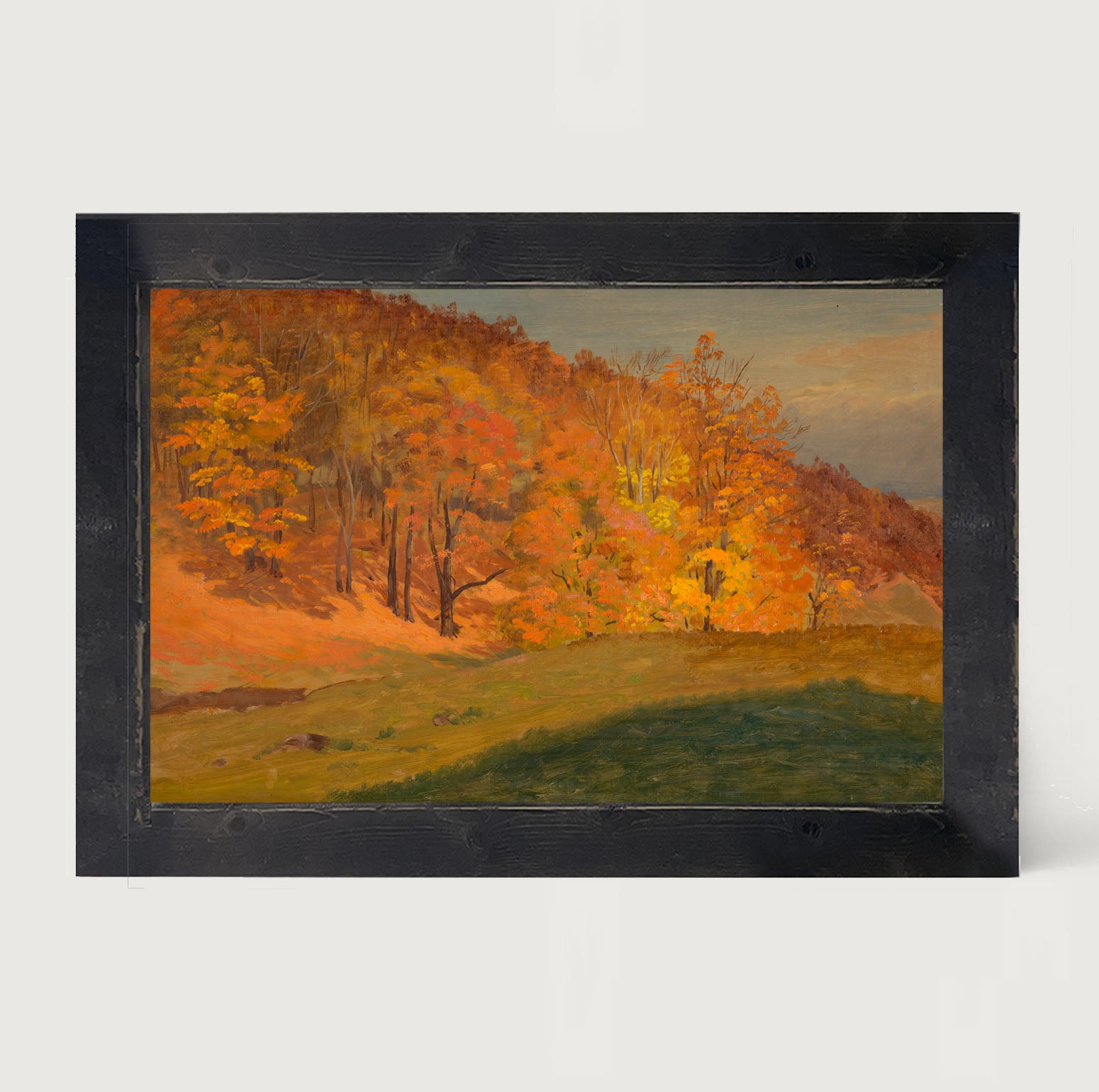 Autumn colors - Framed Art