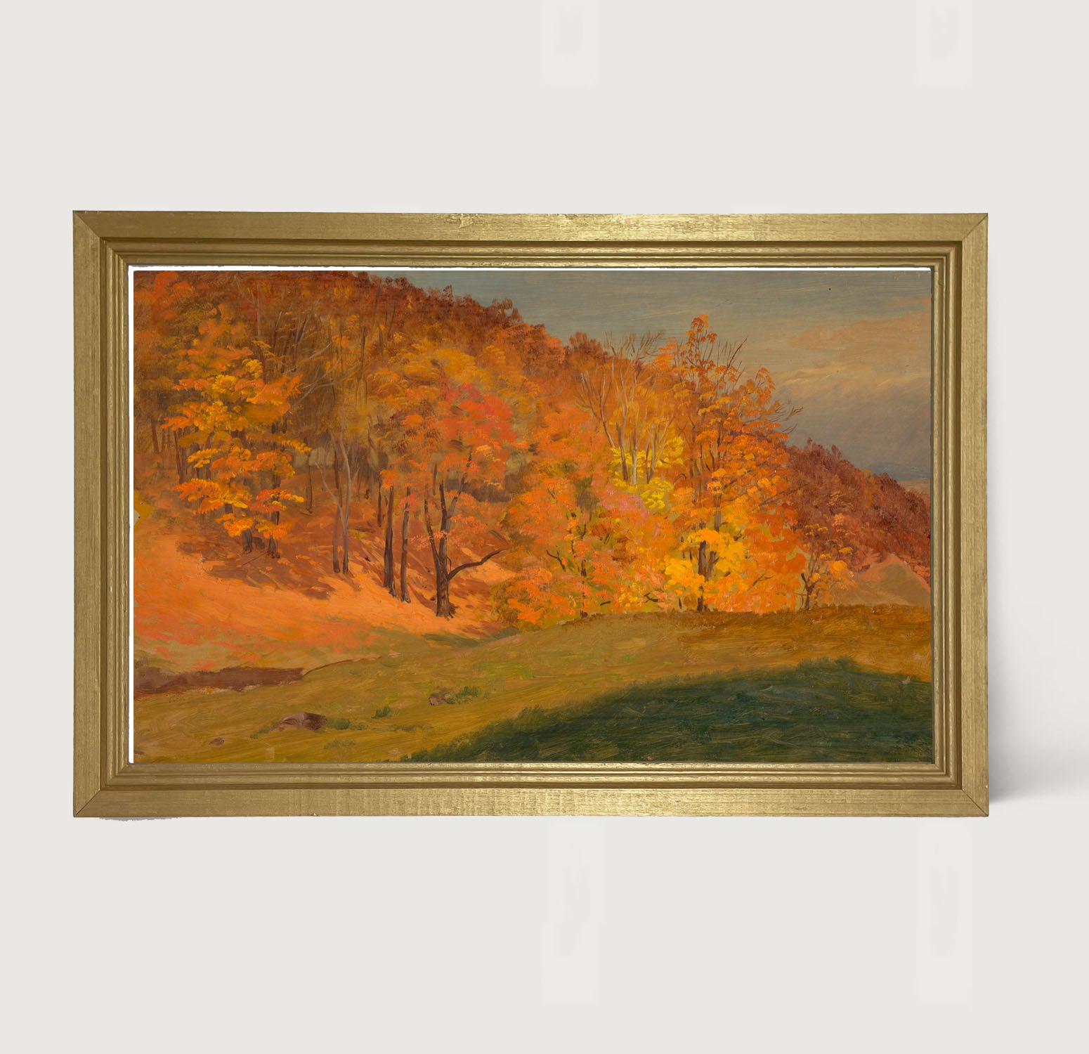Autumn colors - Framed Art