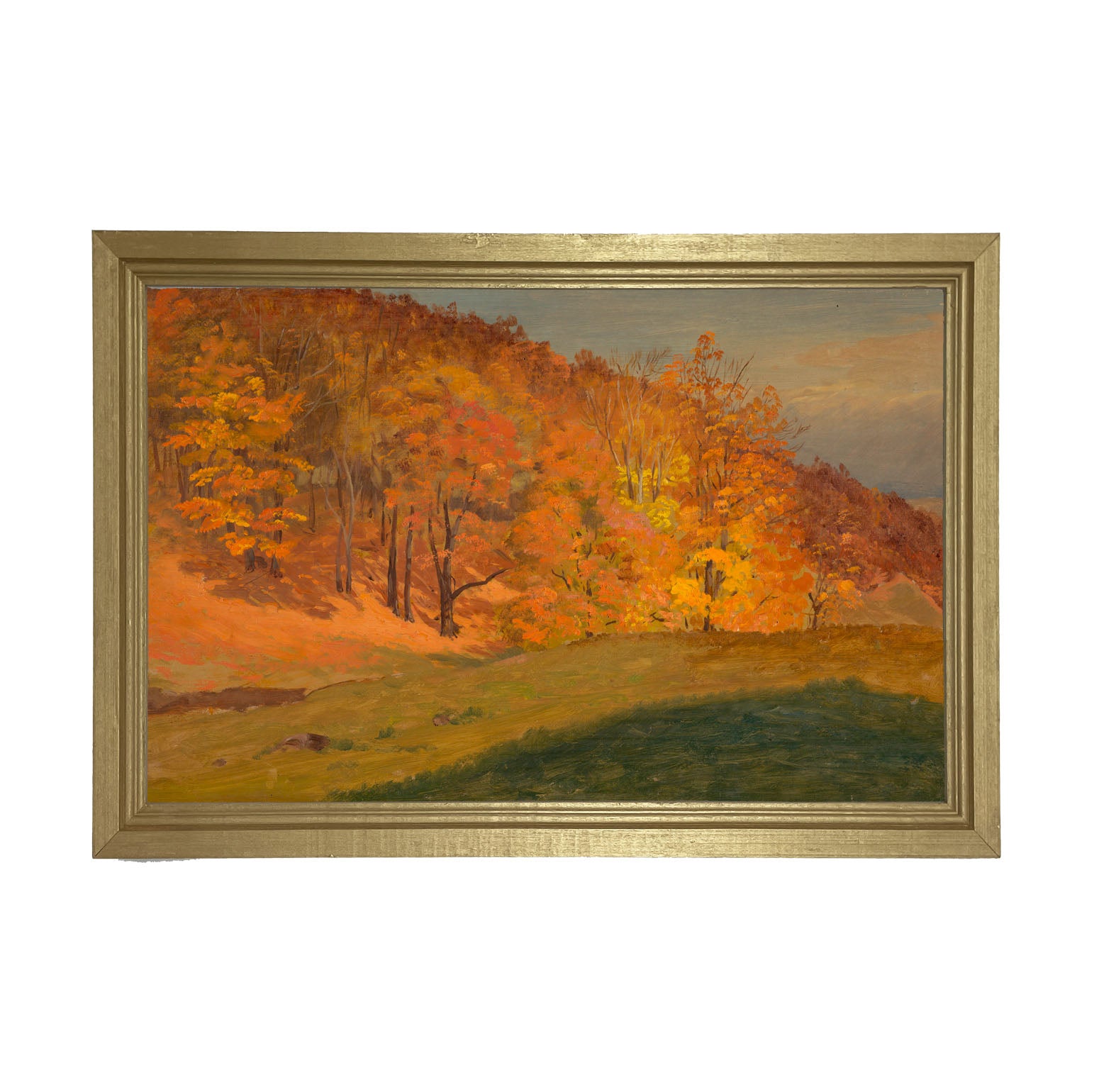 Autumn colors - Framed Art