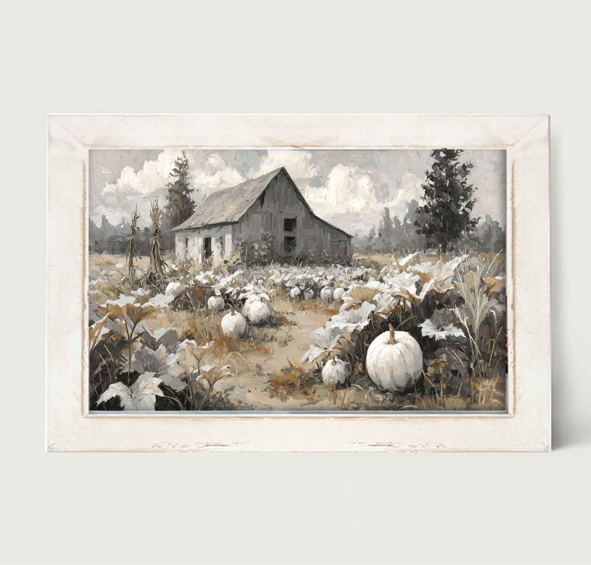 White Pumpkins in Field