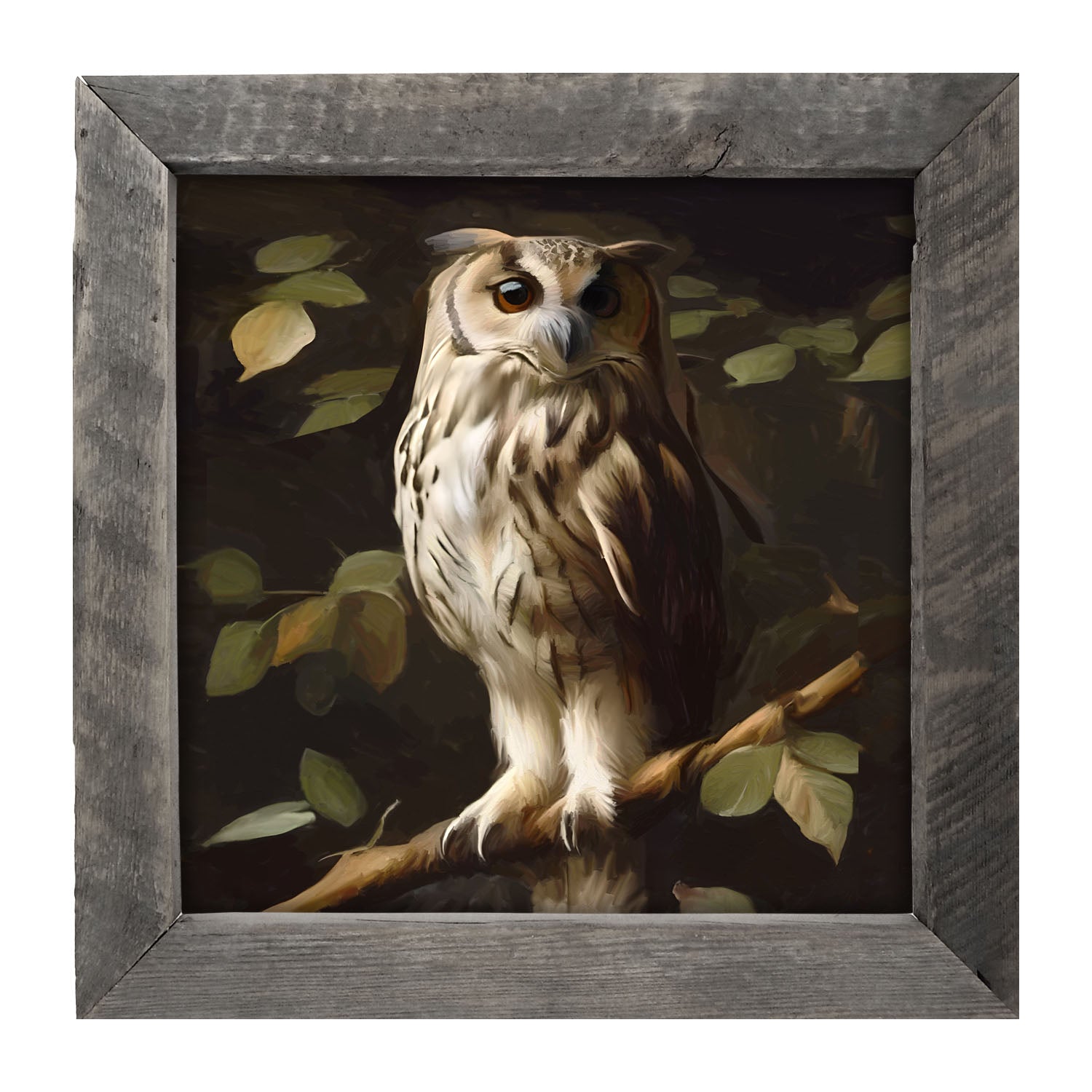 Gray and White Owl - Framed Art