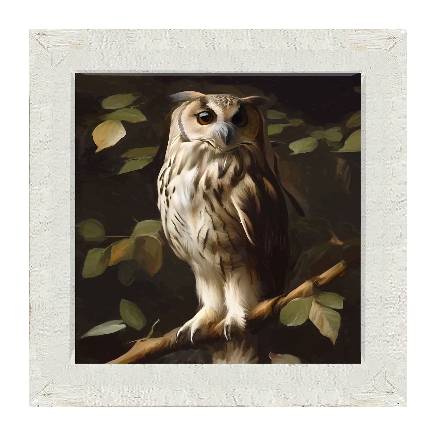 Gray and White Owl - Framed Art