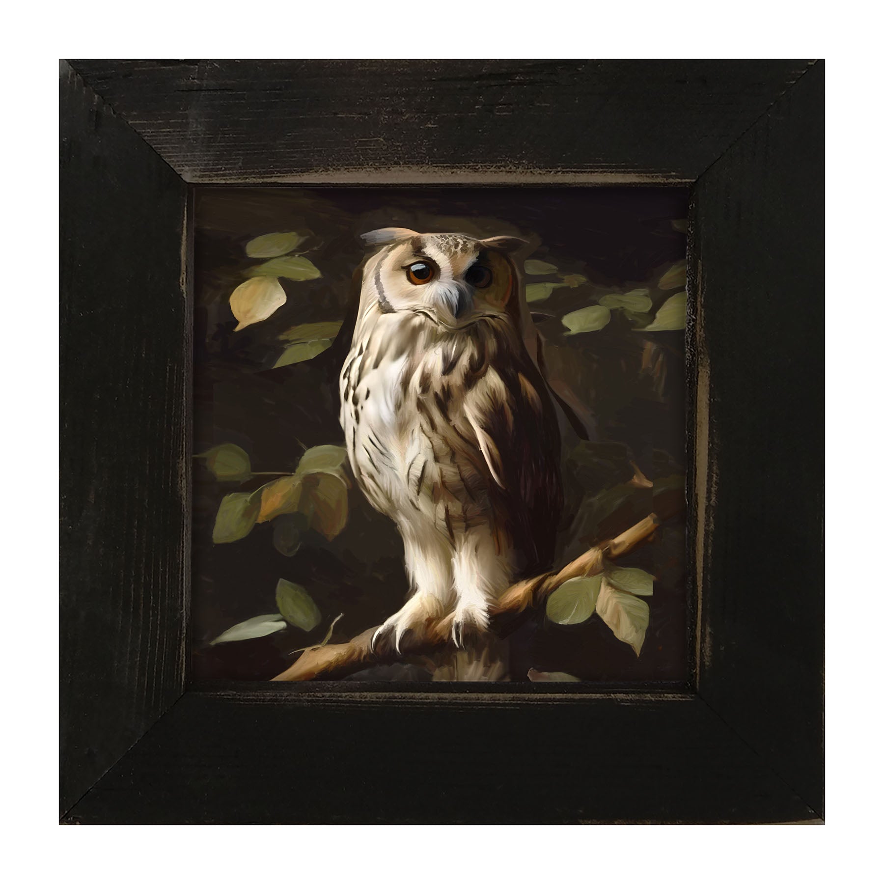Gray and White Owl - Framed Art