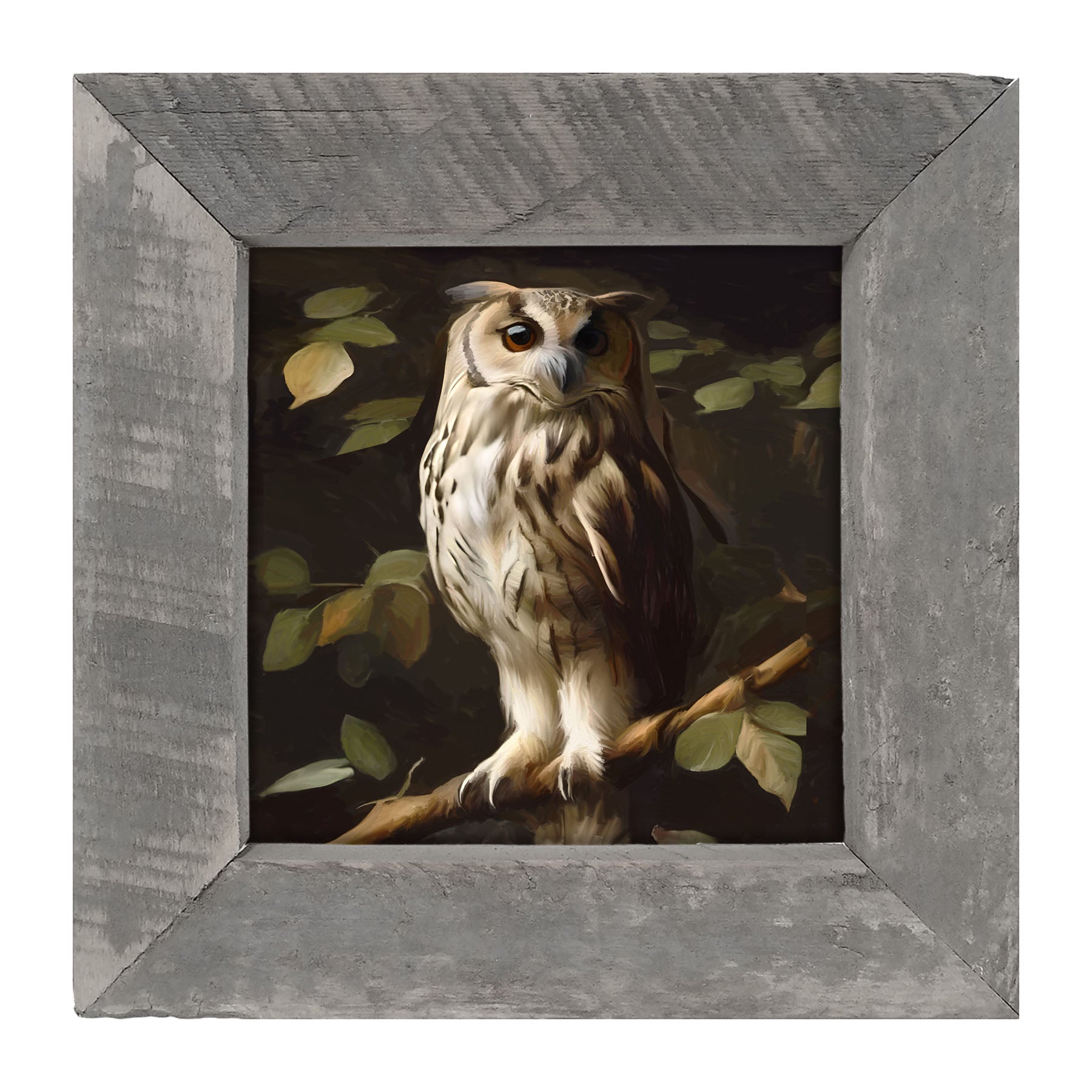 Gray and White Owl - Framed Art