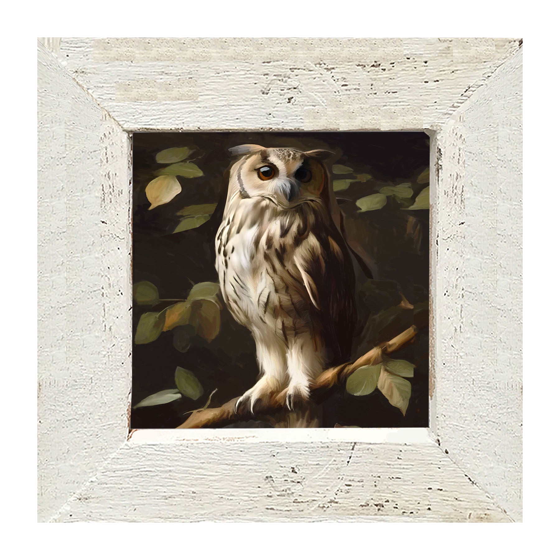Gray and White Owl - Framed Art