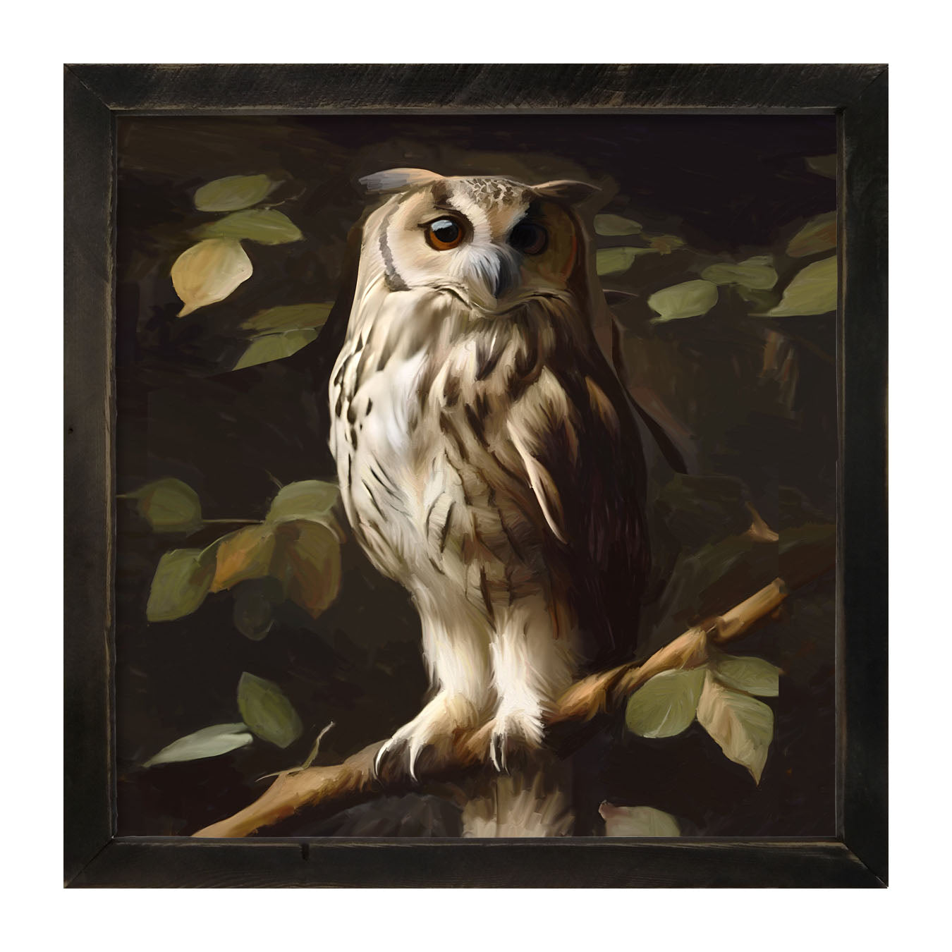 Gray and White Owl - Framed Art