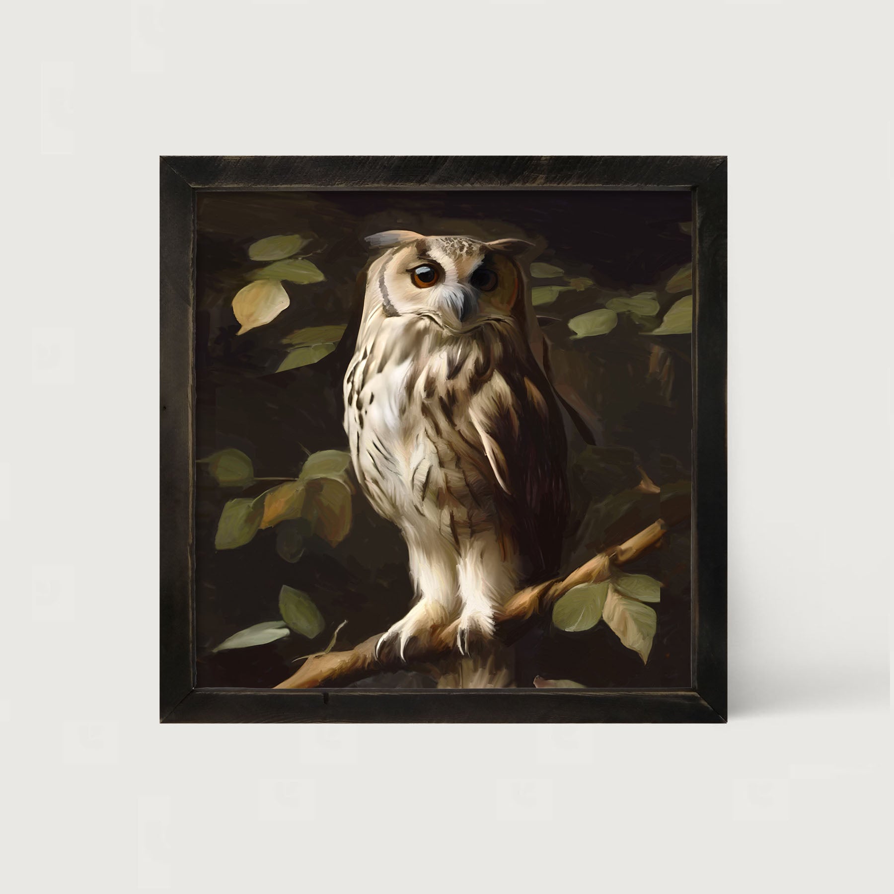 Gray and White Owl - Framed Art