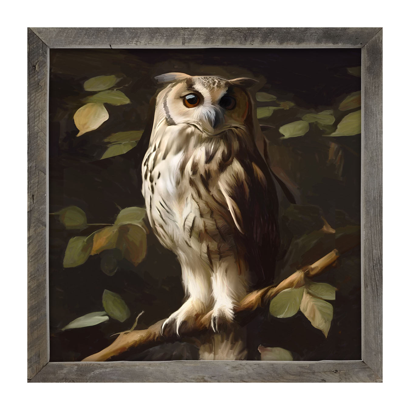 Gray and White Owl - Framed Art