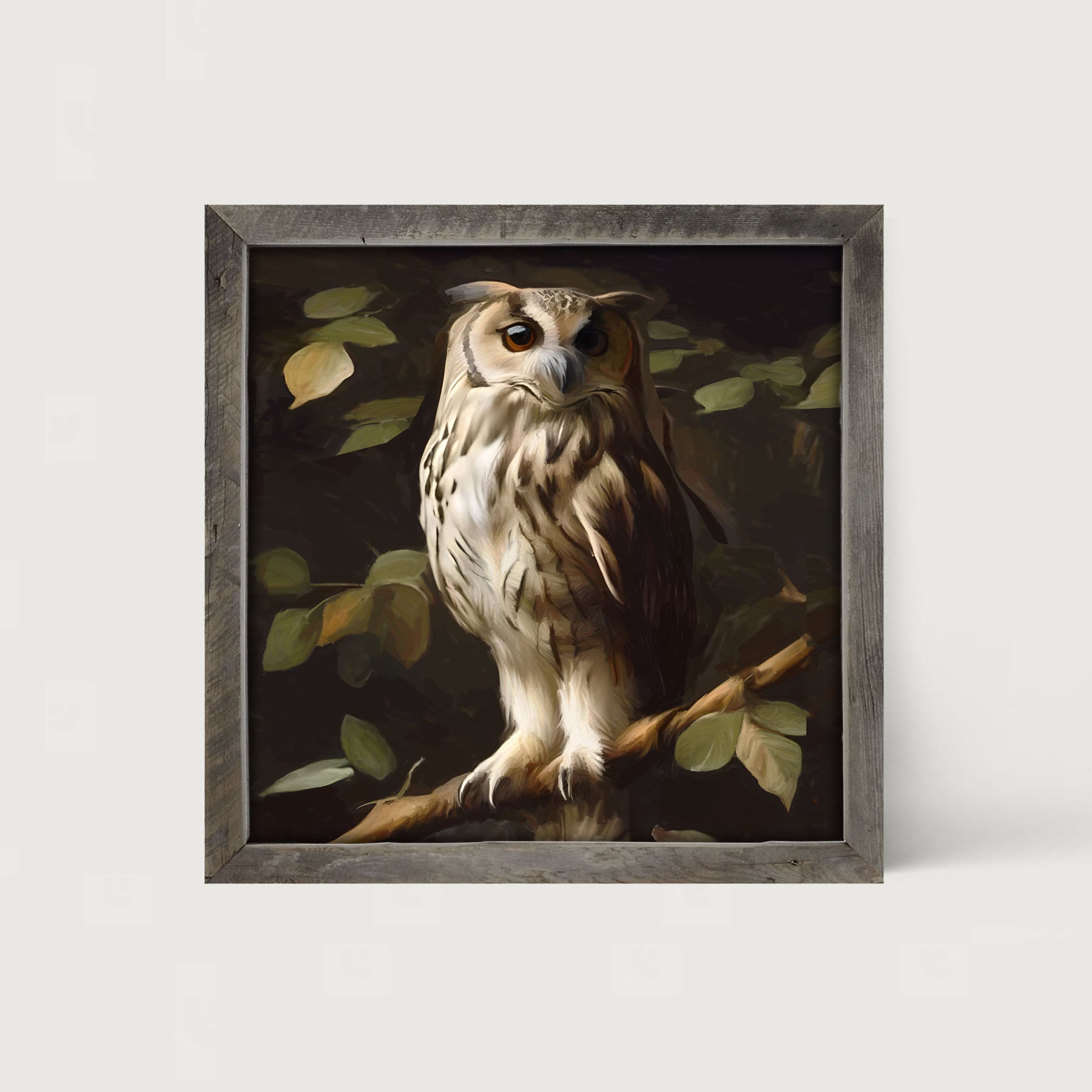 Gray and White Owl - Framed Art