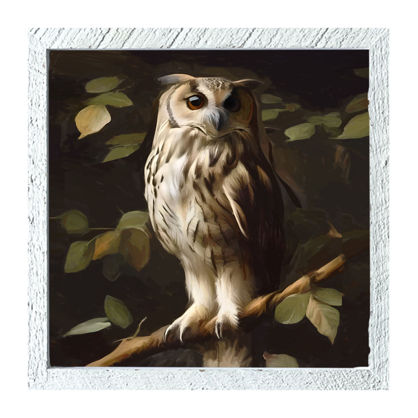Gray and White Owl - Framed Art