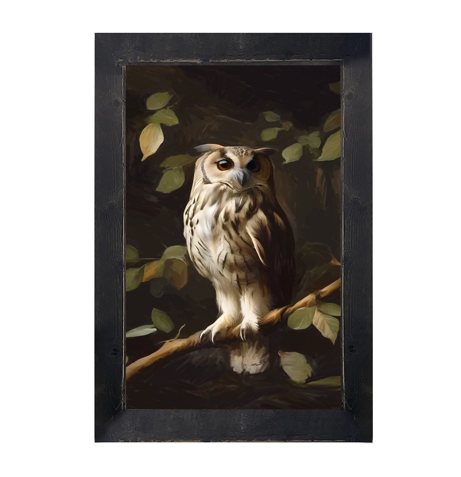 Gray and White Owl - Framed Art
