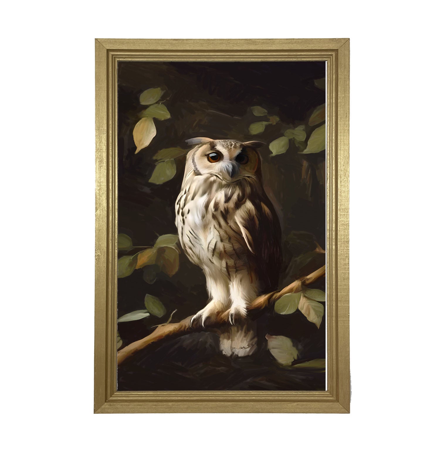 Gray and White Owl - Framed Art