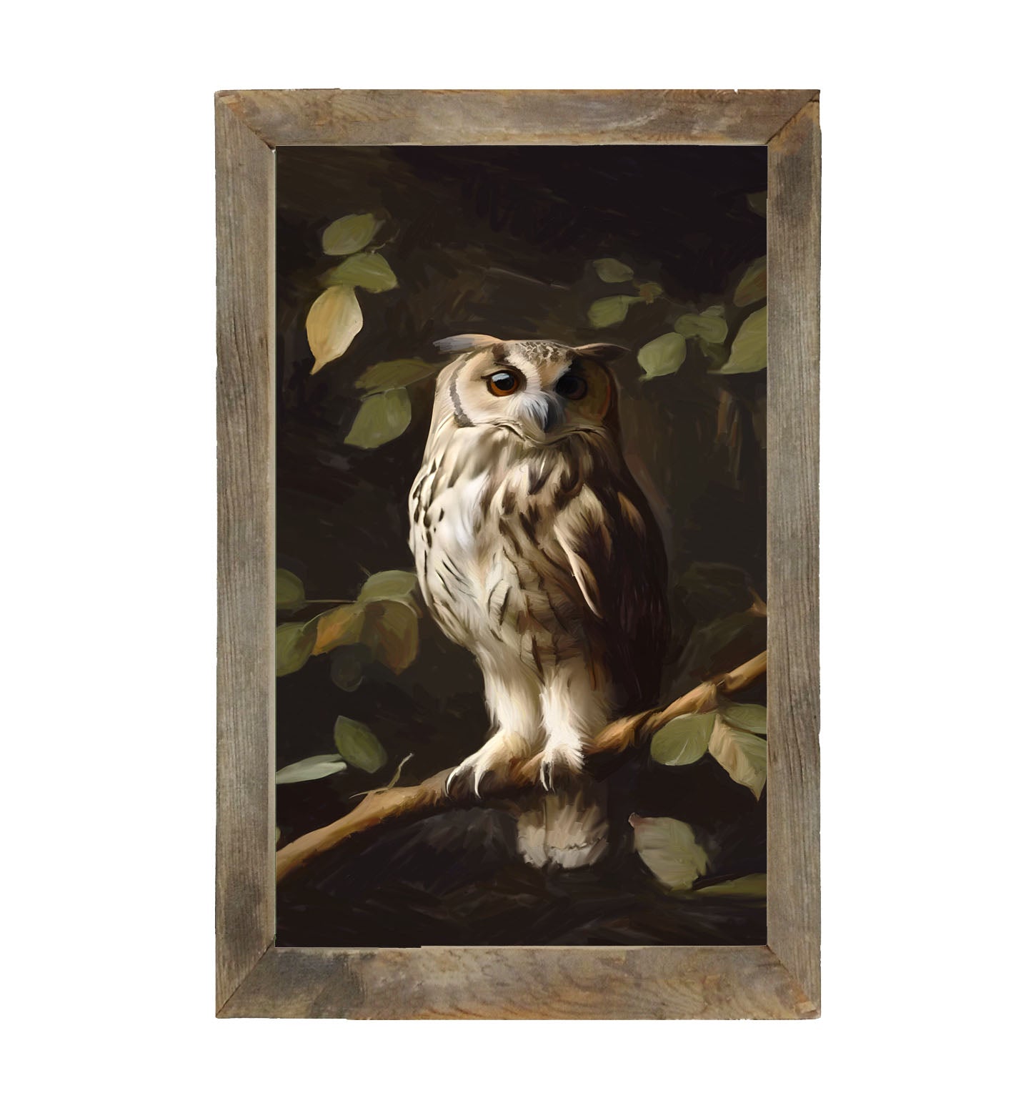 Gray and White Owl - Framed Art