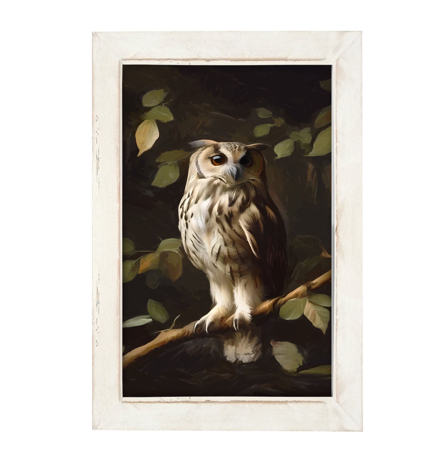 Gray and White Owl - Framed Art
