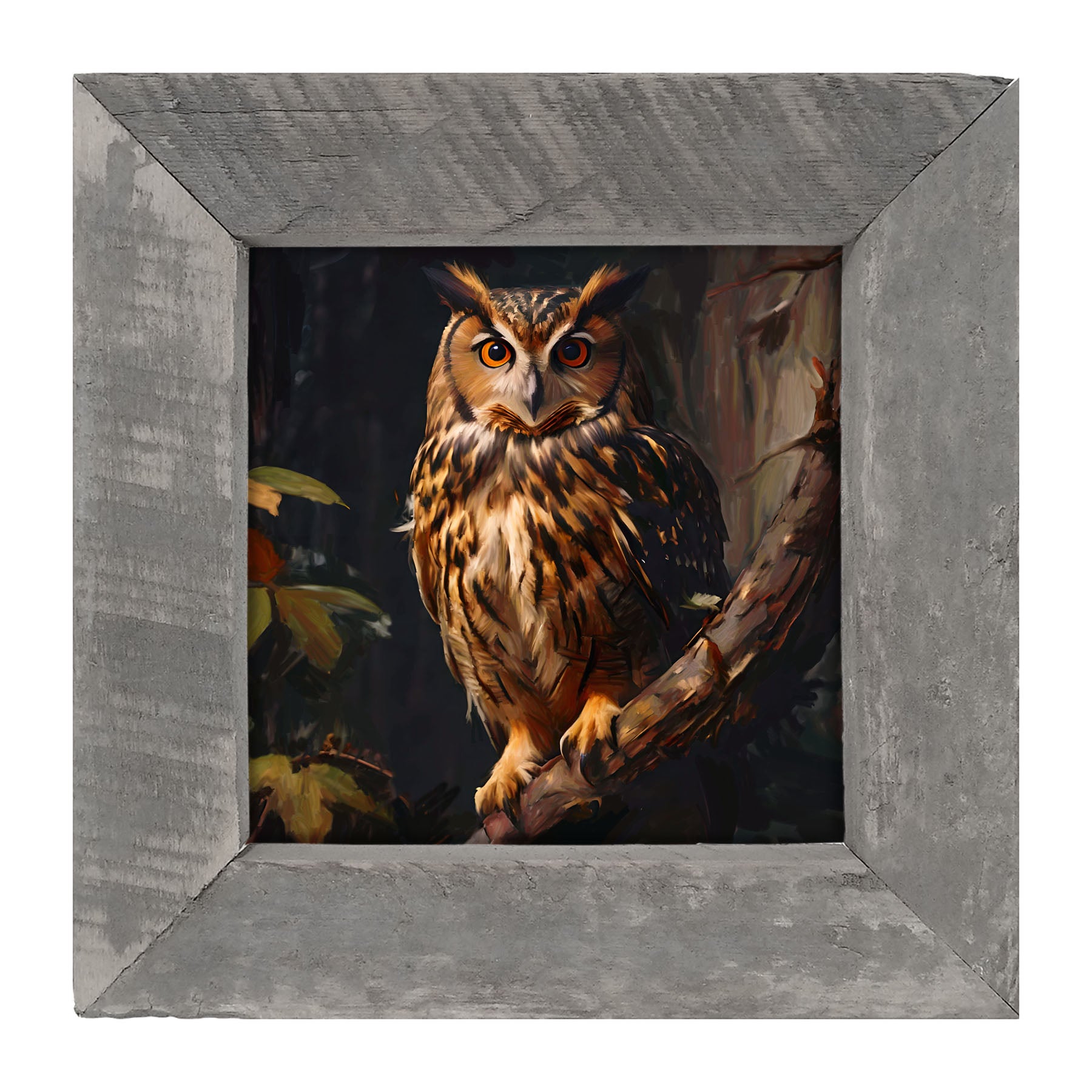 Forest Owl - Framed Art