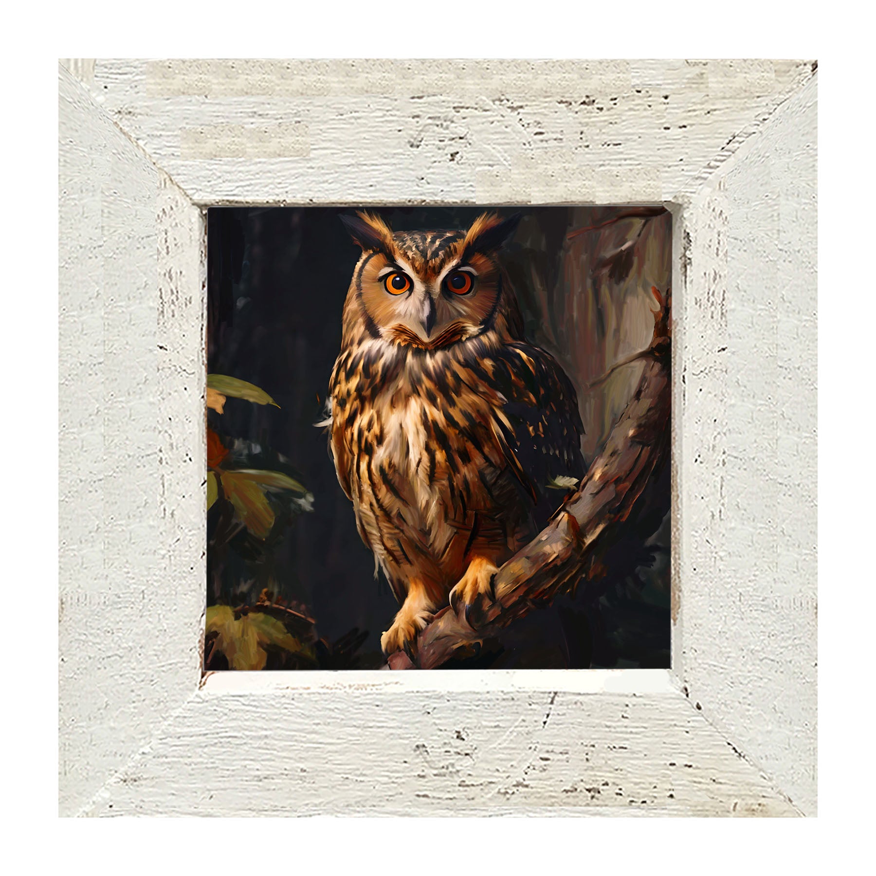 Forest Owl