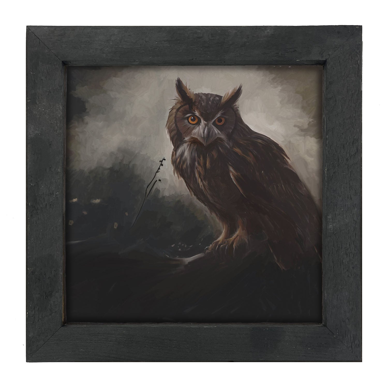 Night Owl - Framed Art