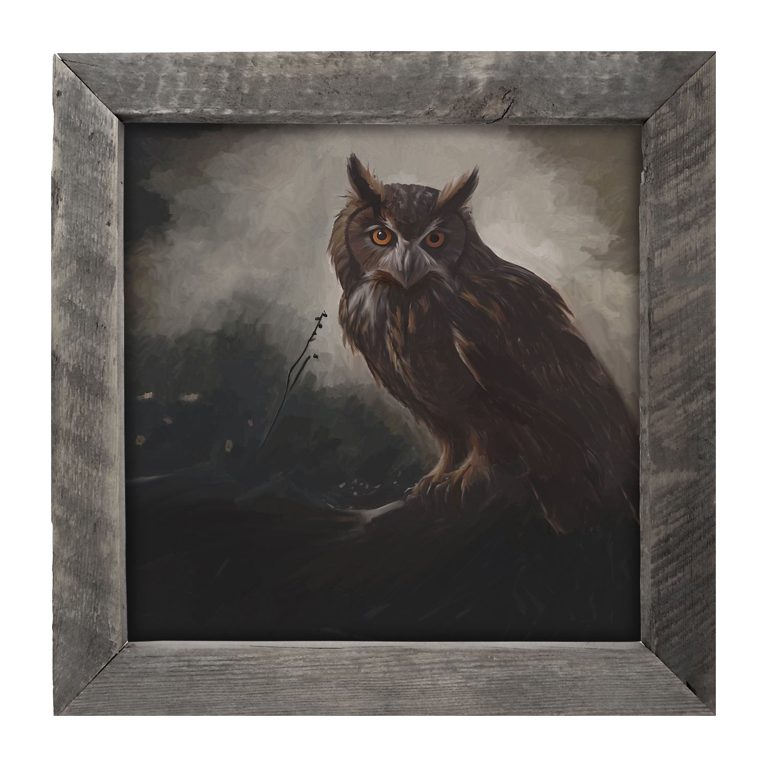 Night Owl - Framed Art