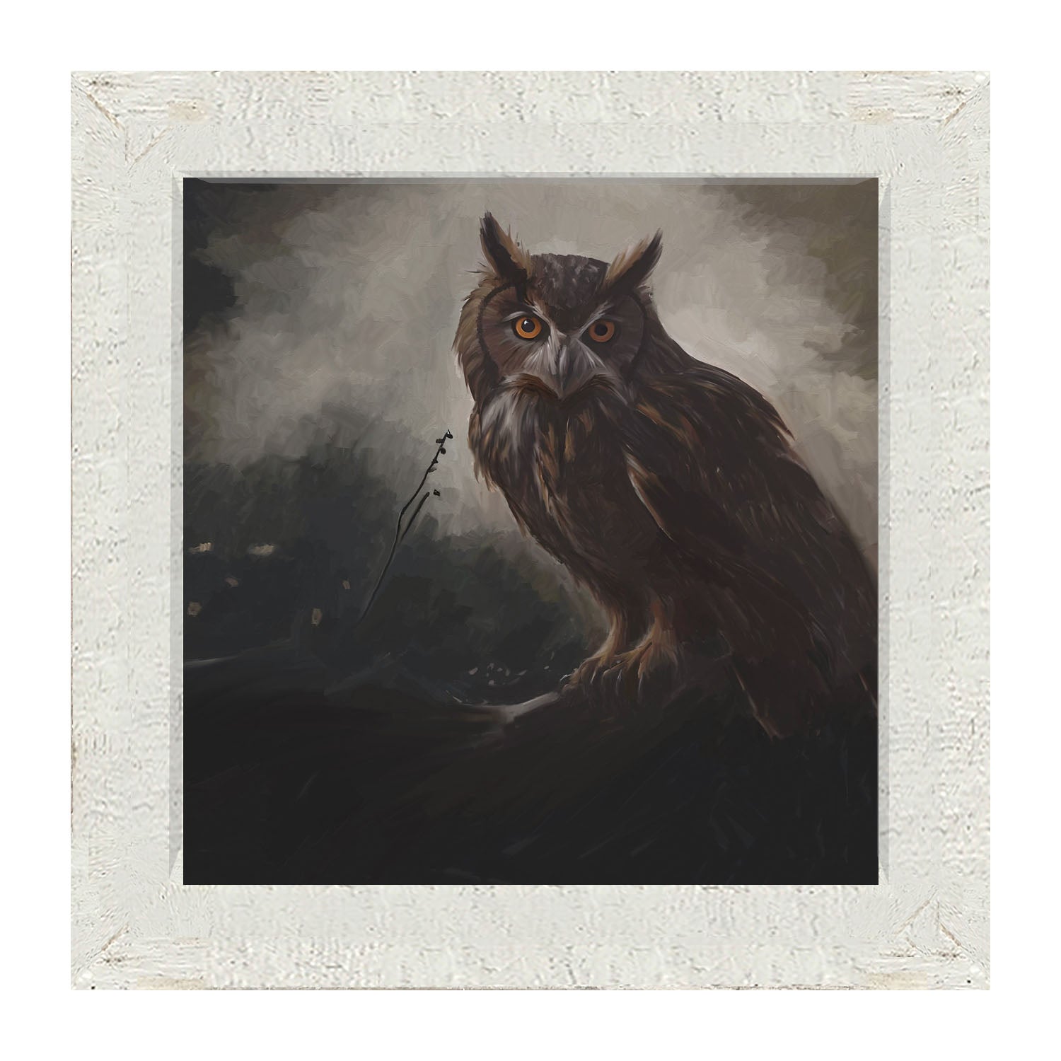 Night Owl - Framed Art