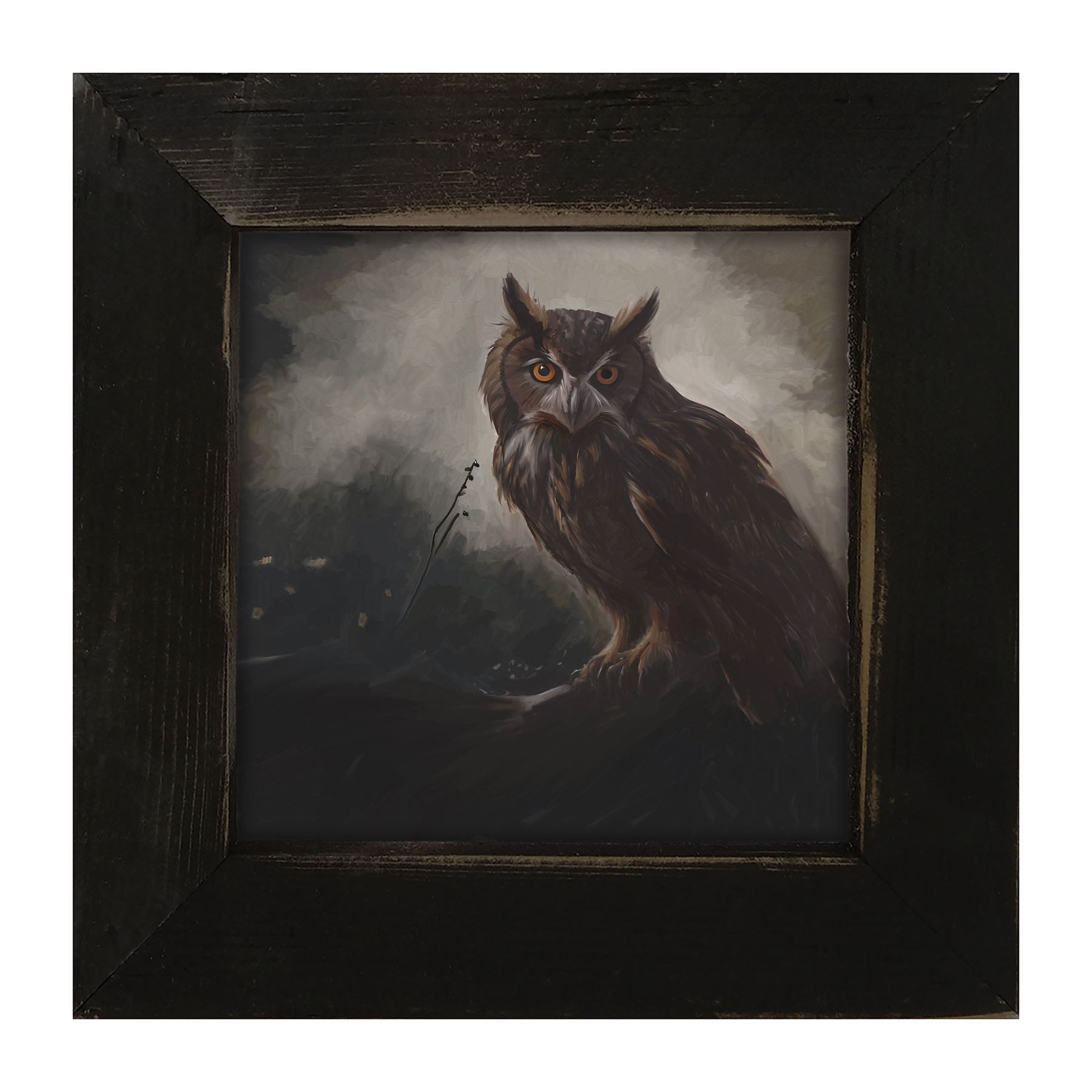 Night Owl - Framed Art