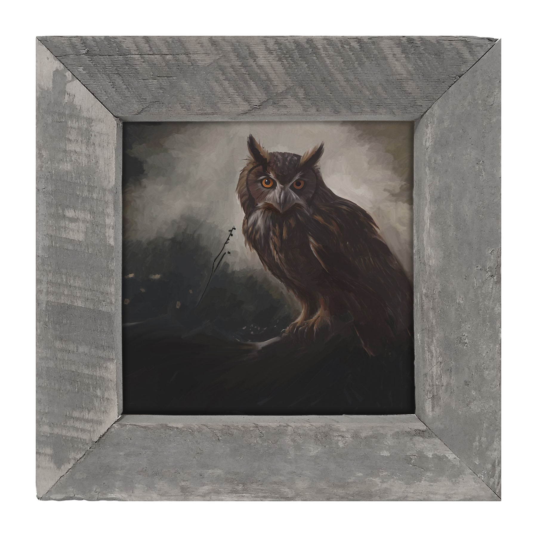 Night Owl - Framed Art