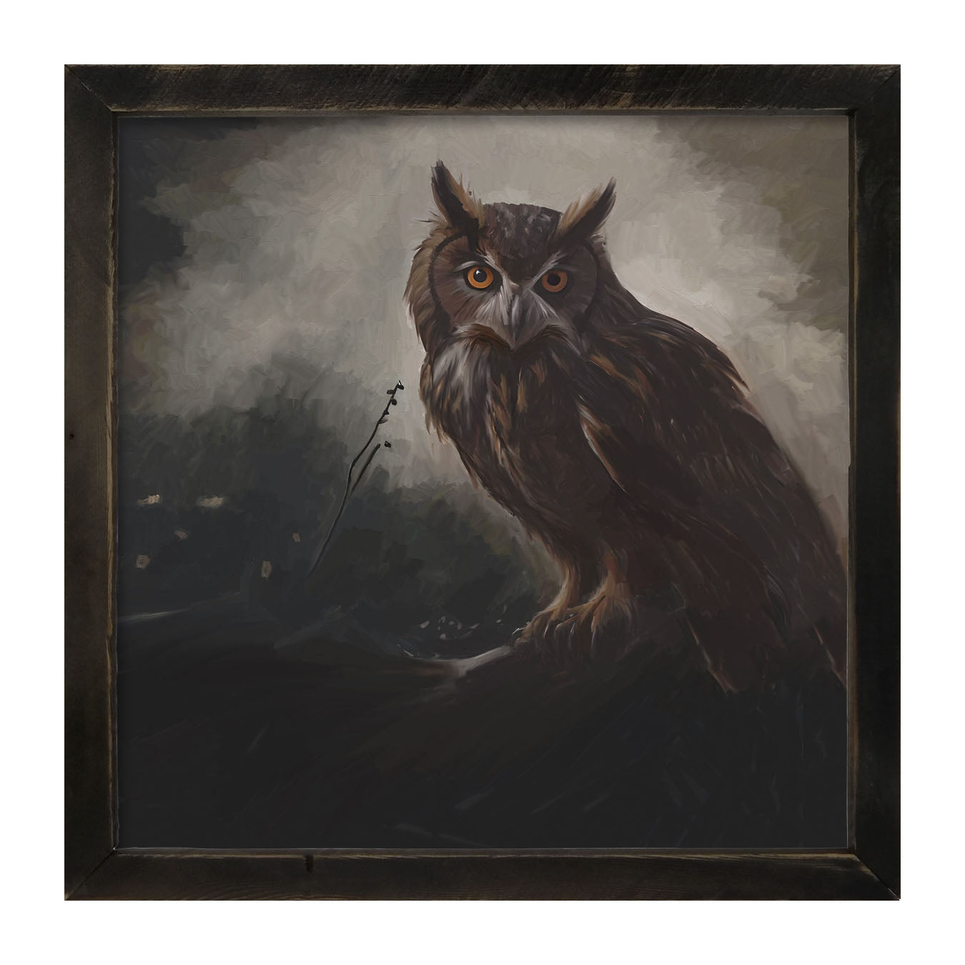 Night Owl - Framed Art