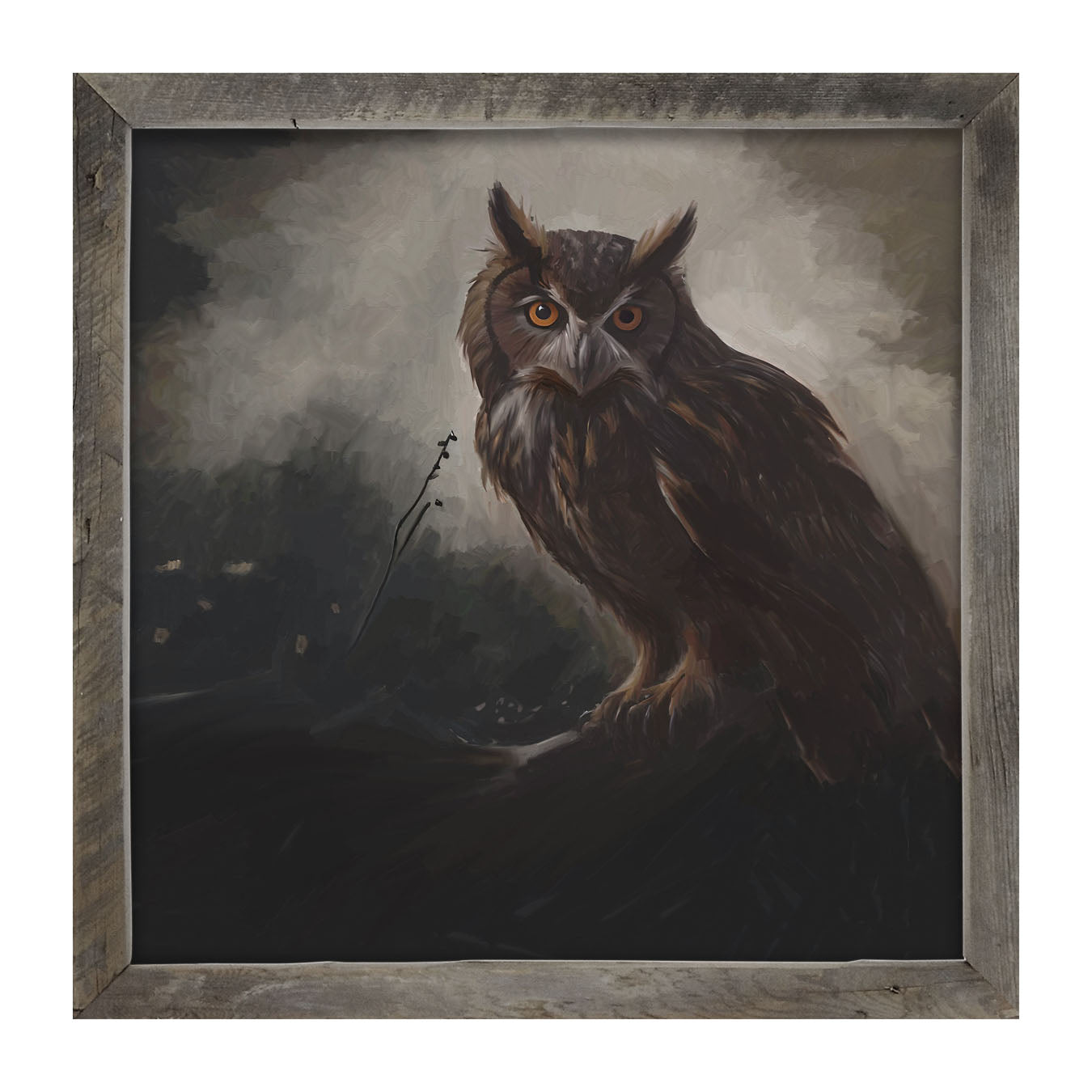 Night Owl - Framed Art