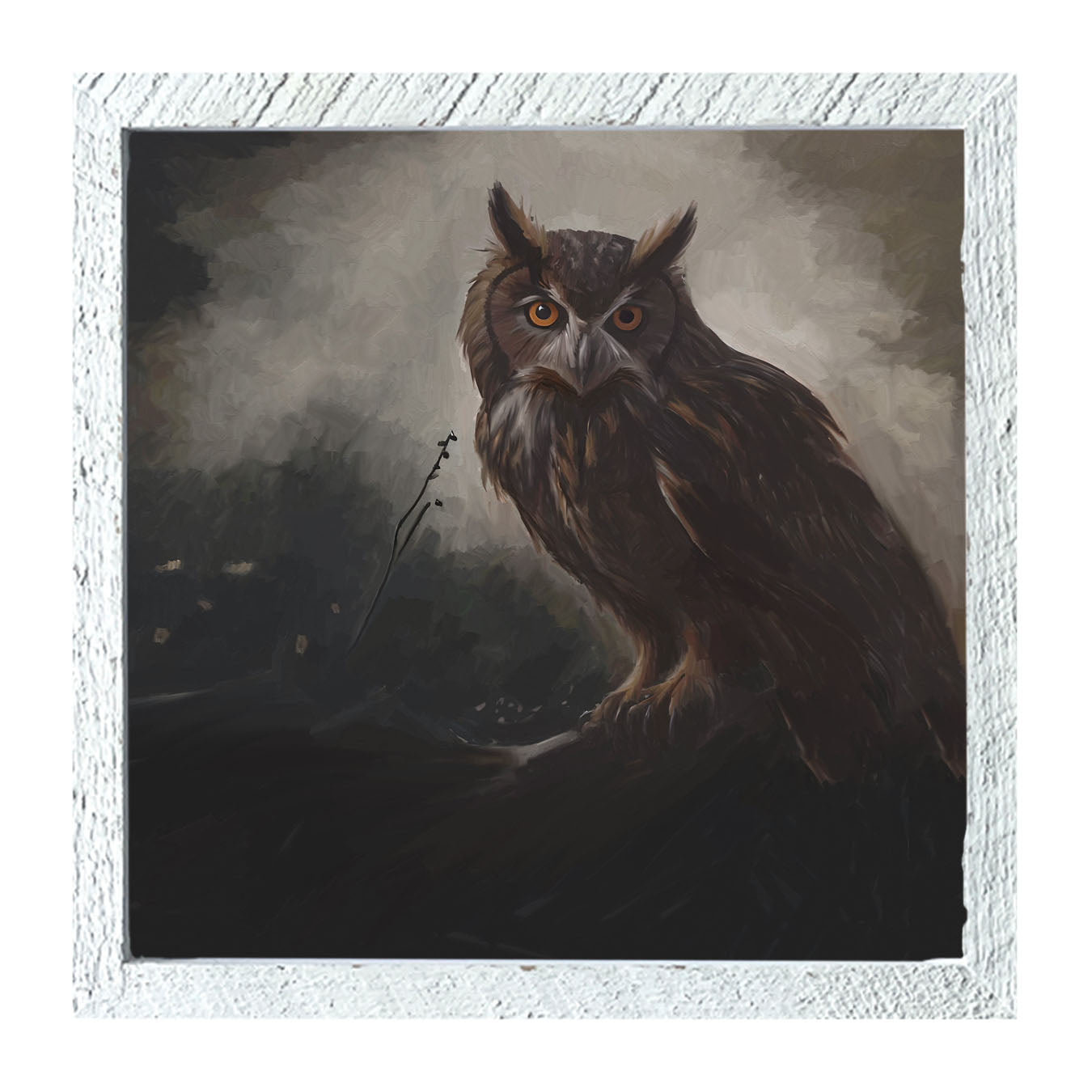 Night Owl - Framed Art