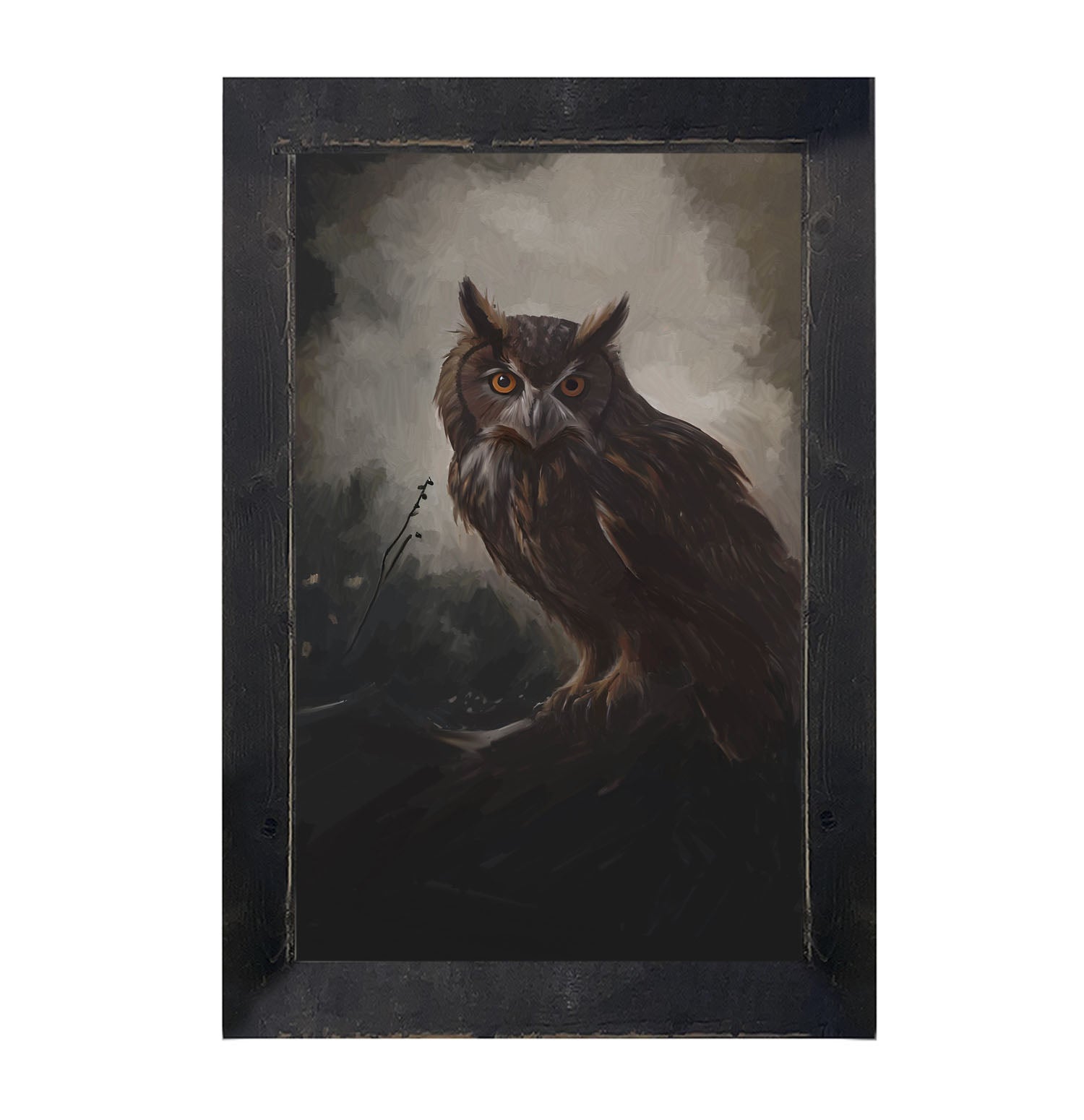 Night Owl - Framed Art
