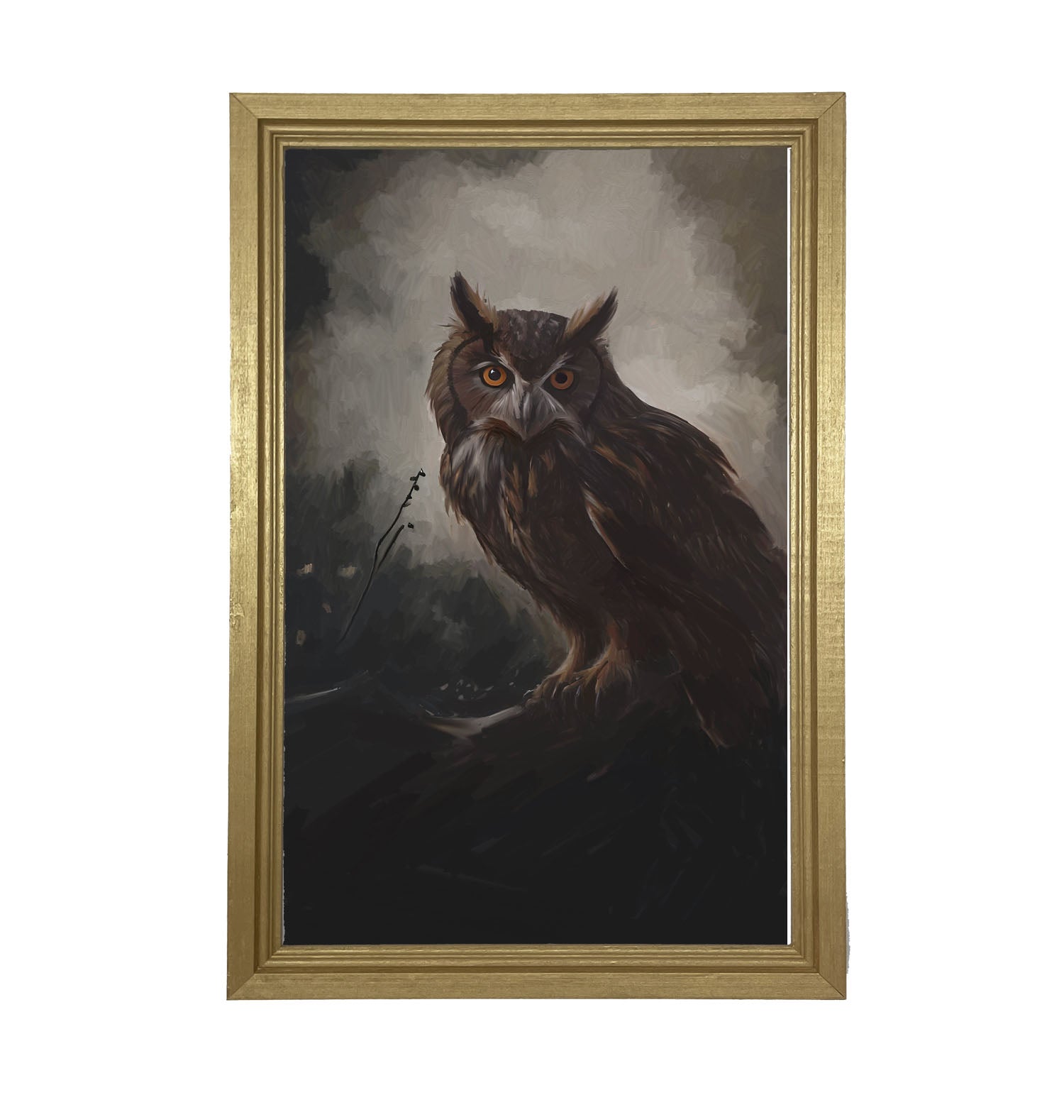 Night Owl - Framed Art