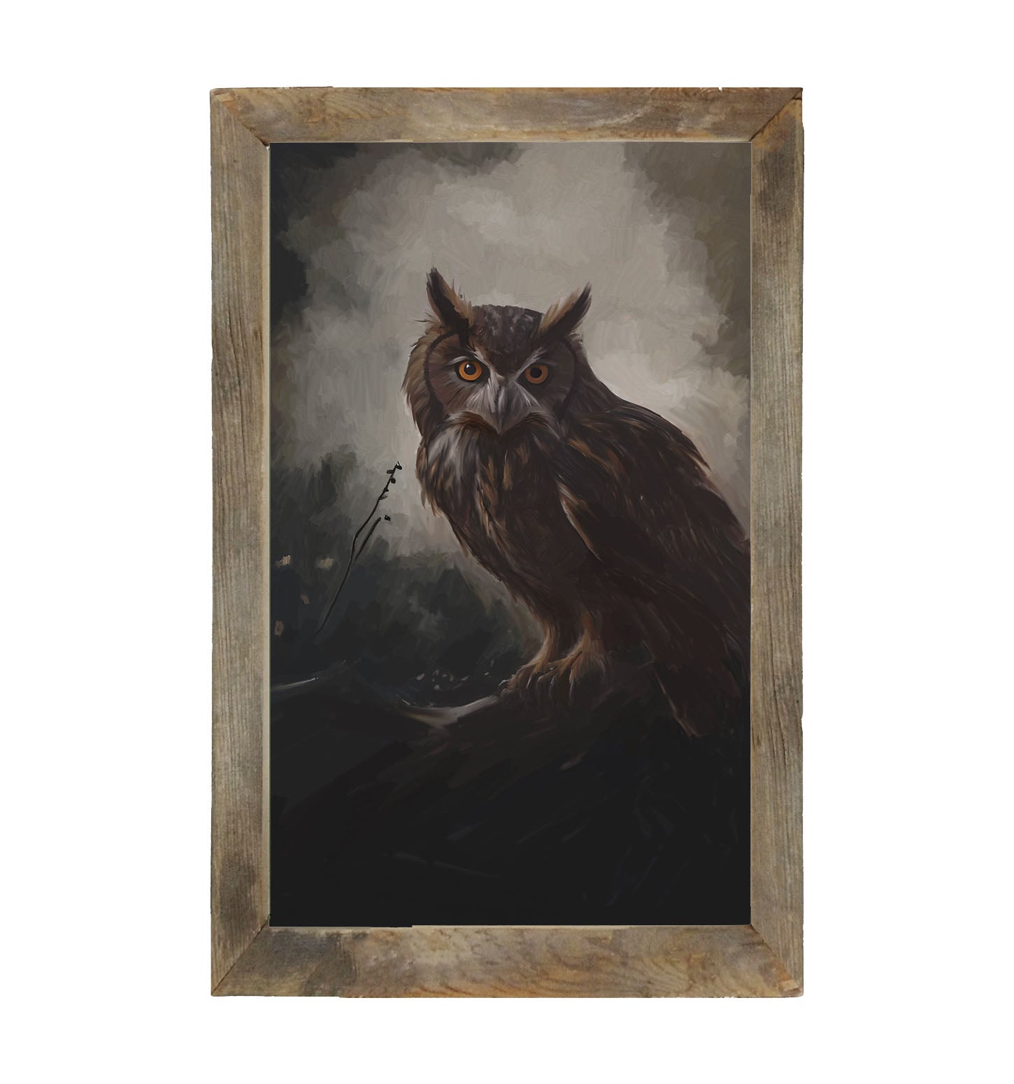 Night Owl - Framed Art