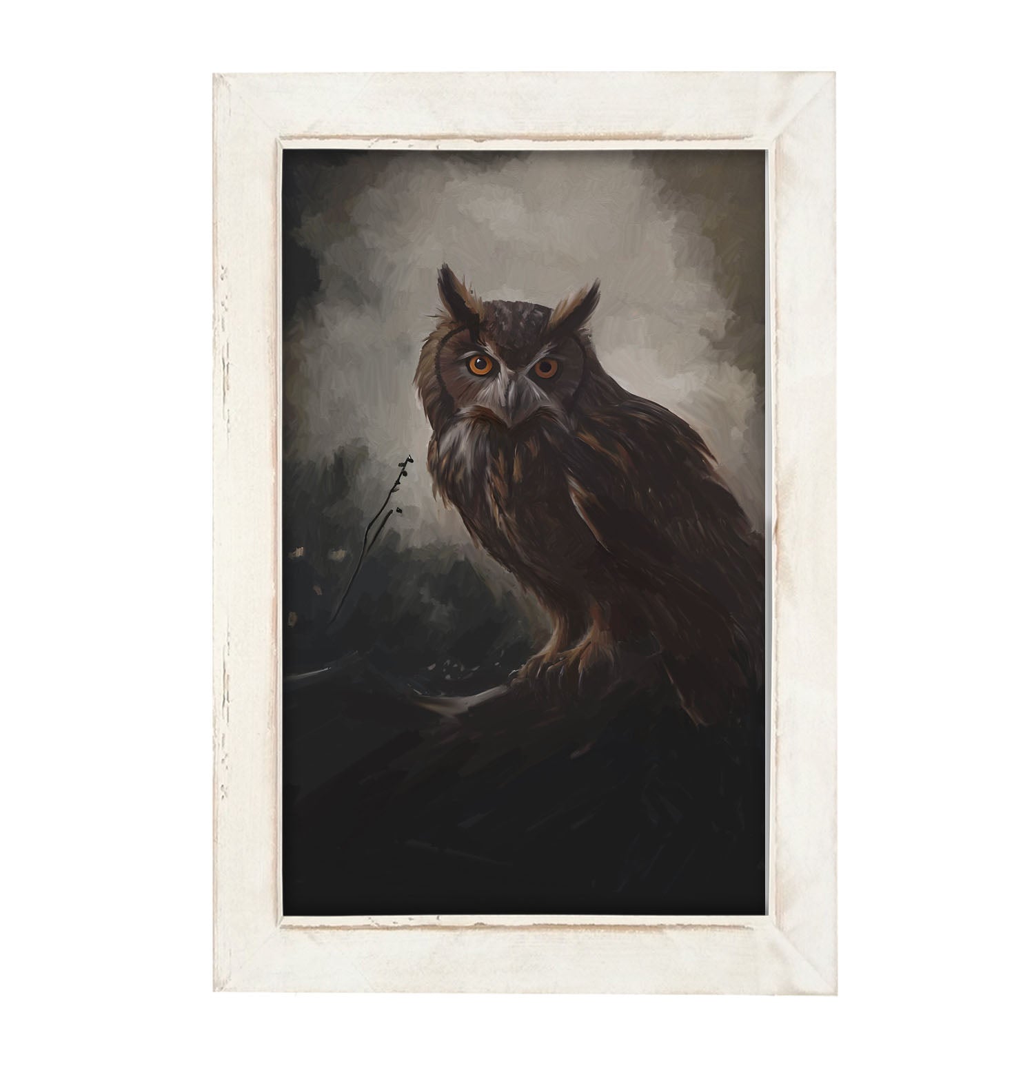 Night Owl - Framed Art